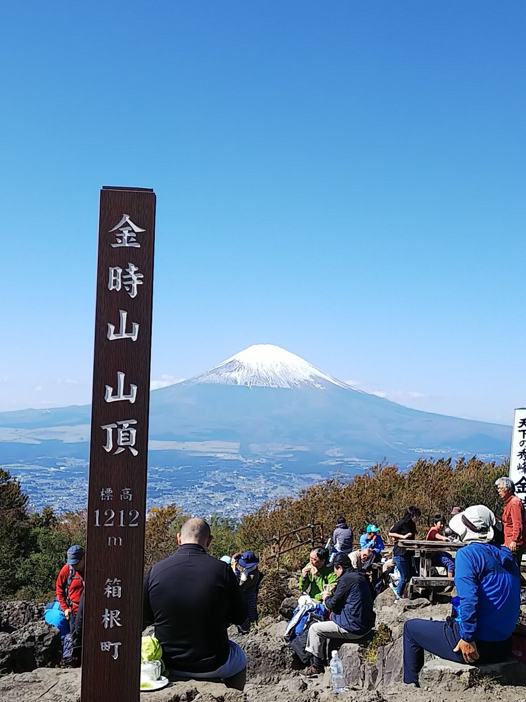 ポケとる ロゼリア 最高のイラストと図面