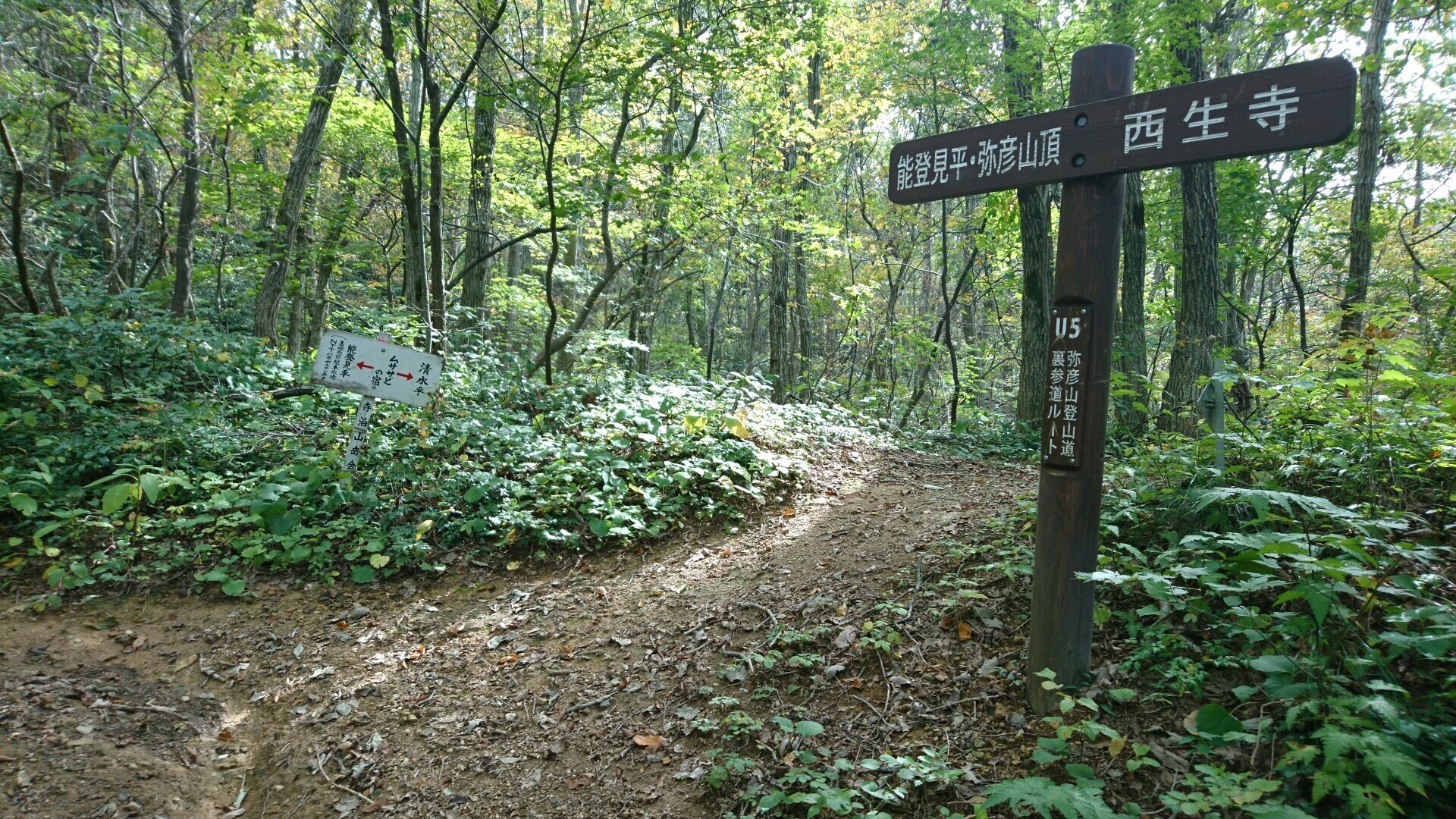 弥彦山 西生寺裏参道から Mayuさんの弥彦山 多宝山 雨乞山の活動日記 Yamap ヤマップ