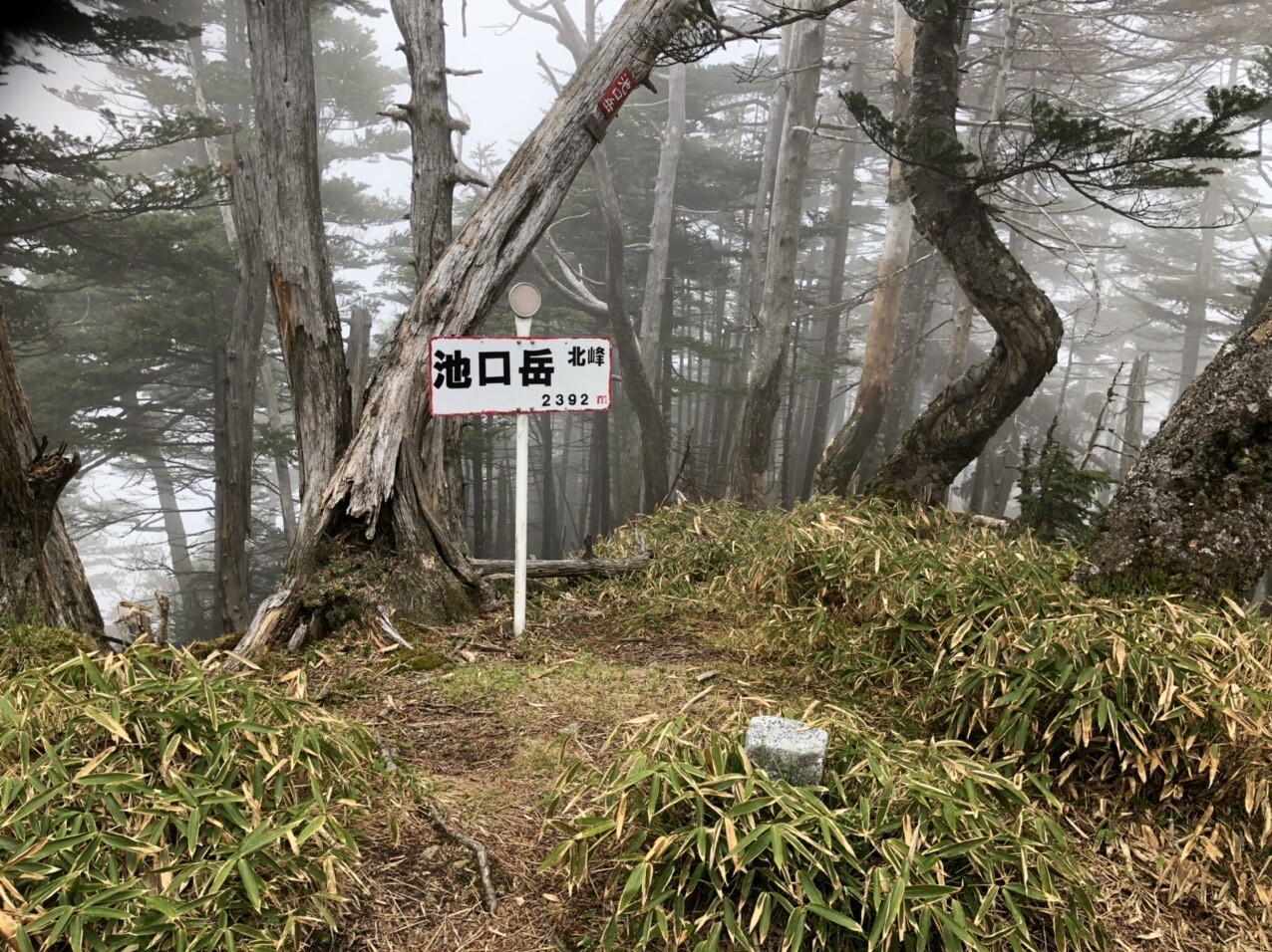 池口岳 / ナリさんの池口岳・加加森山・光岳の活動データ YAMAP / ヤマップ