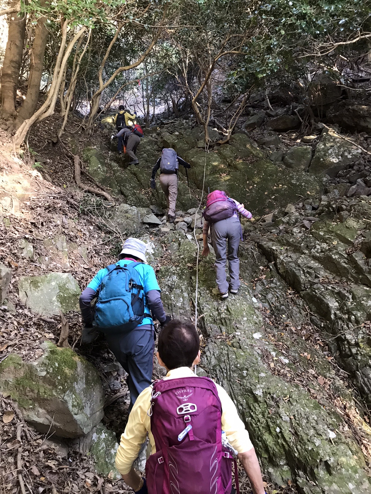 竜王山源流コースにチャレンジ トールマンさんの竜王山 鋤尖山 鬼ヶ城の活動データ Yamap ヤマップ