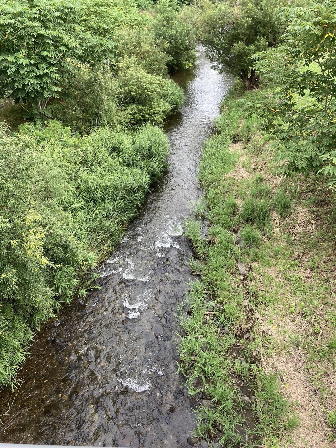 真駒内公園へウォーキングへ行きました。真... / hiroさんのモーメント YAMAP / ヤマップ
