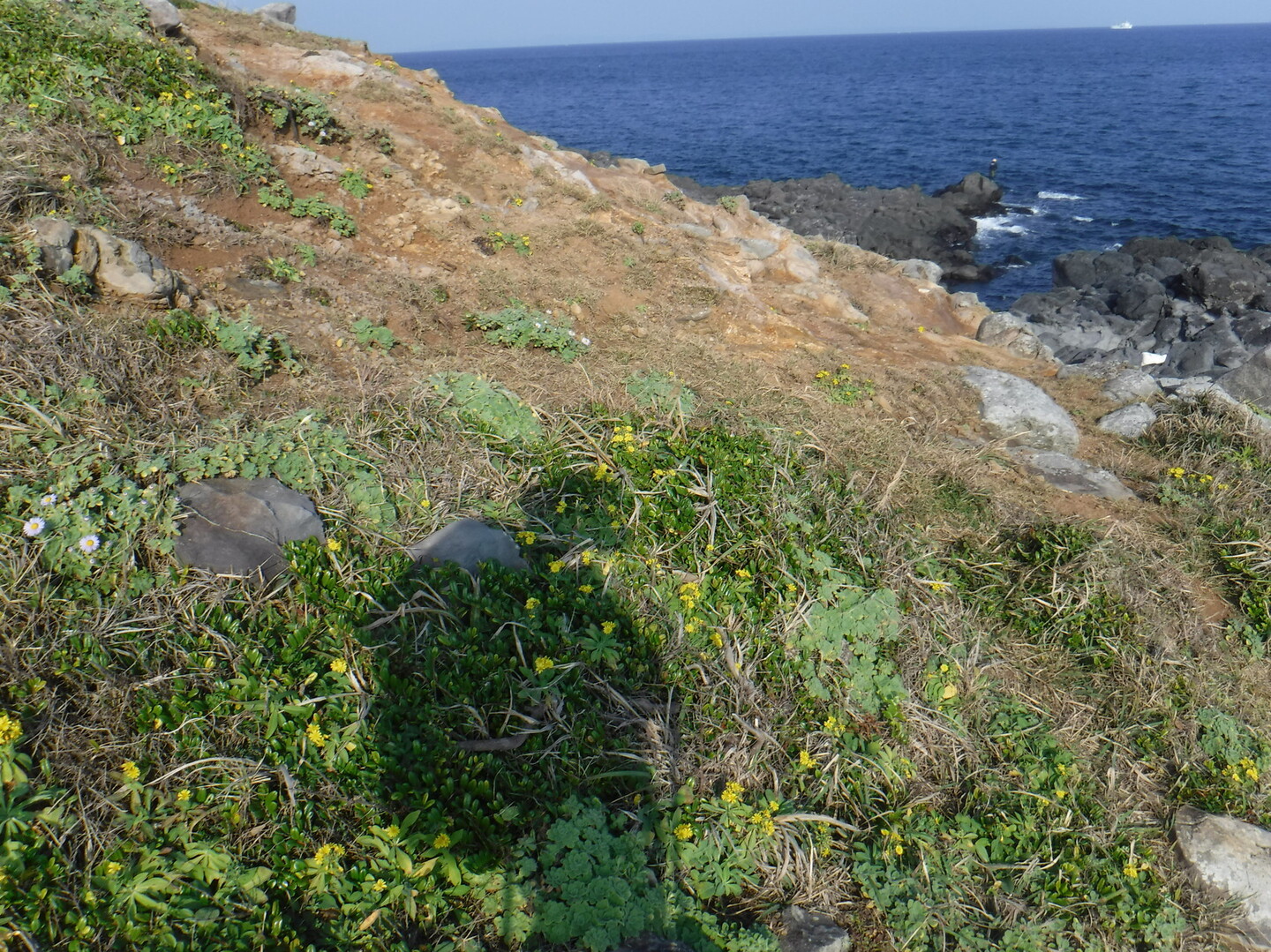 小川島 海岸段丘釣り人の道 ともおさんの唐津市 鎮西町 呼子町エリアの活動日記 Yamap ヤマップ