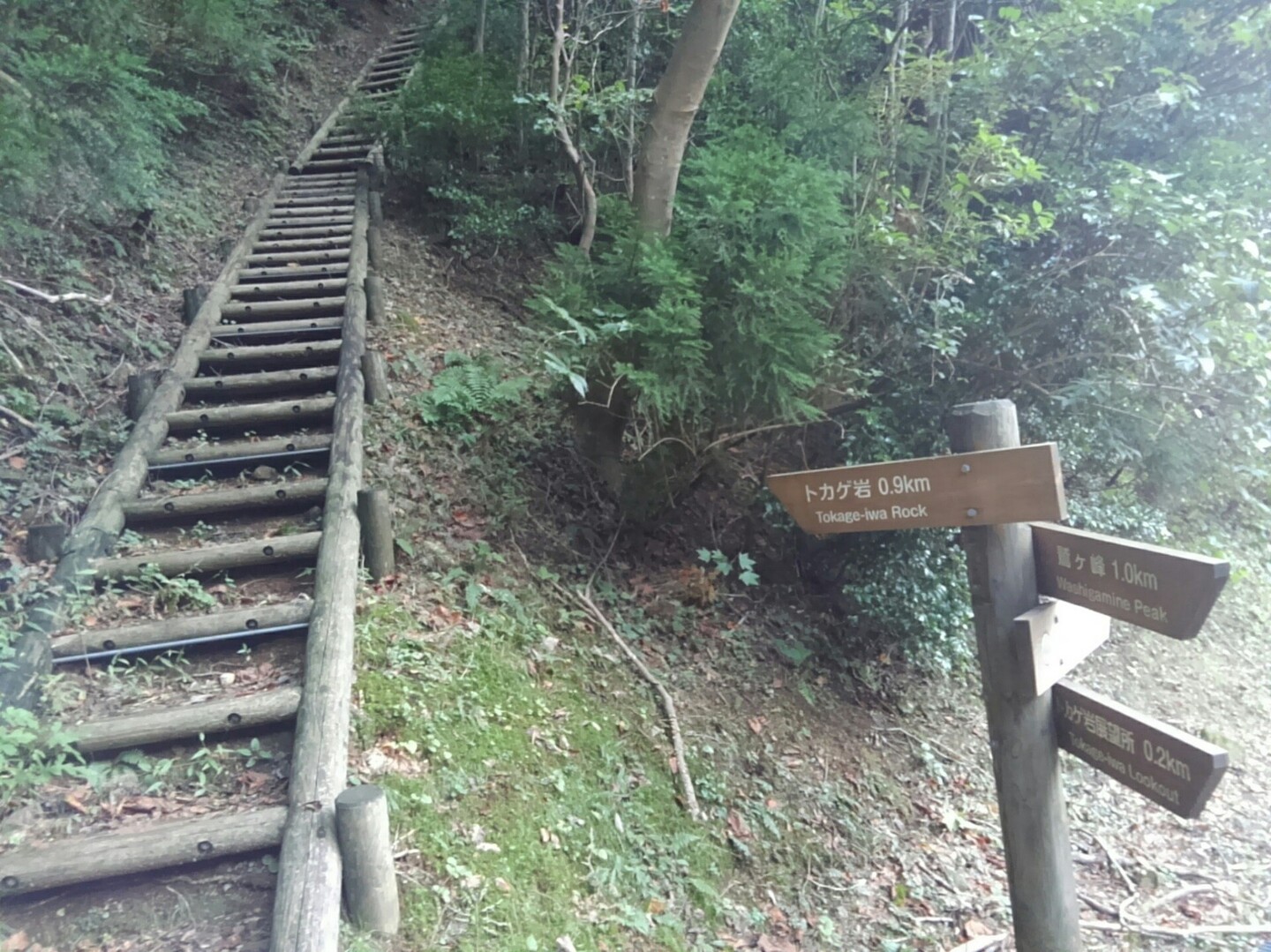 隠岐の島町 トカゲ岩 屏風岩 大満寺山 Wantaさんの隠岐諸島 島後の活動日記 Yamap ヤマップ