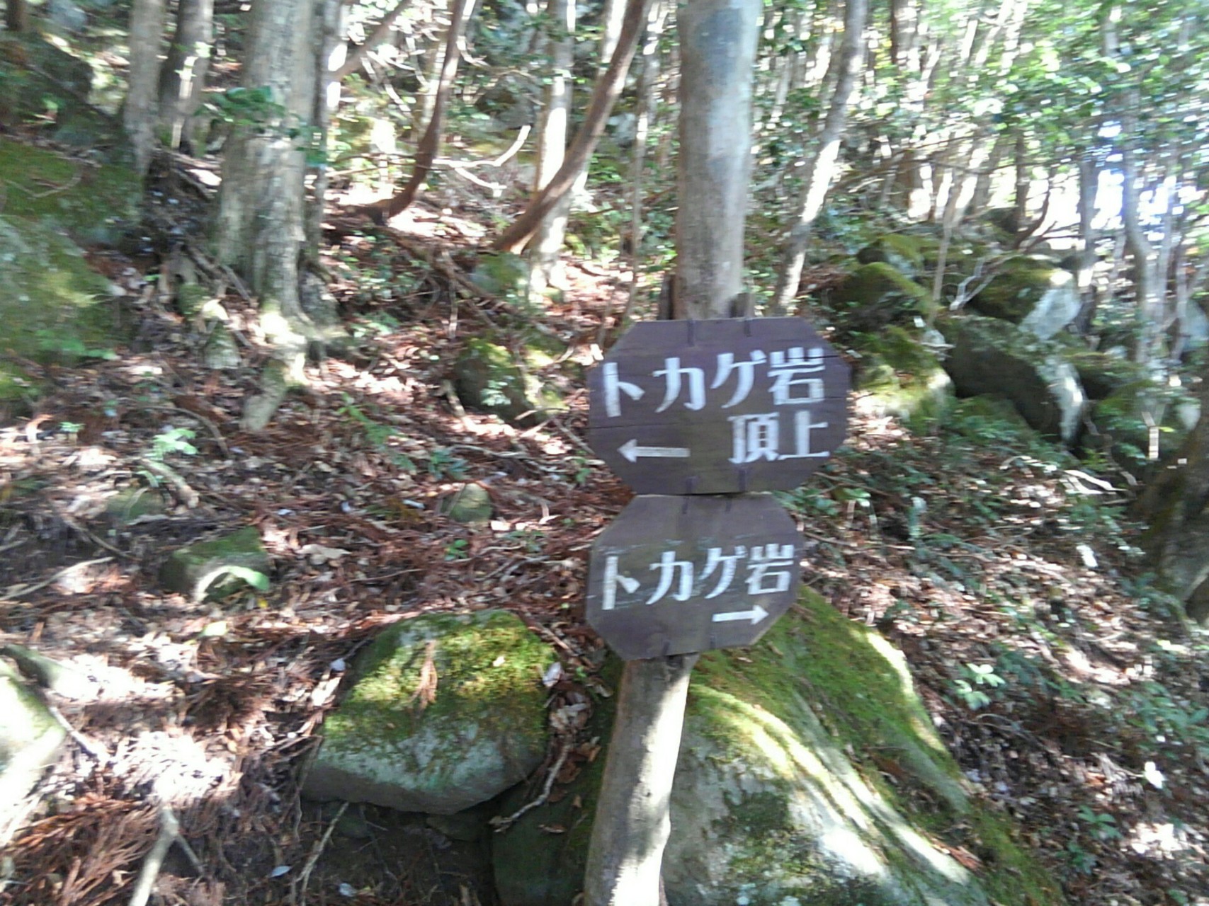 隠岐の島町 トカゲ岩 屏風岩 大満寺山 Wantaさんの隠岐諸島 島後の活動データ Yamap ヤマップ
