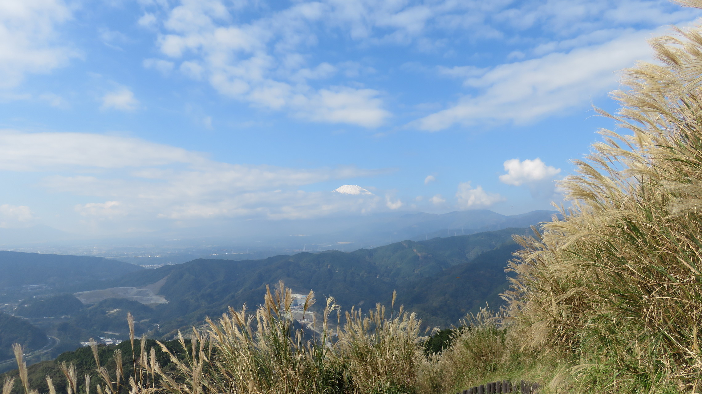 紅葉はじまりました 大野山 Maverickさんの高松山 大野山の活動データ Yamap ヤマップ