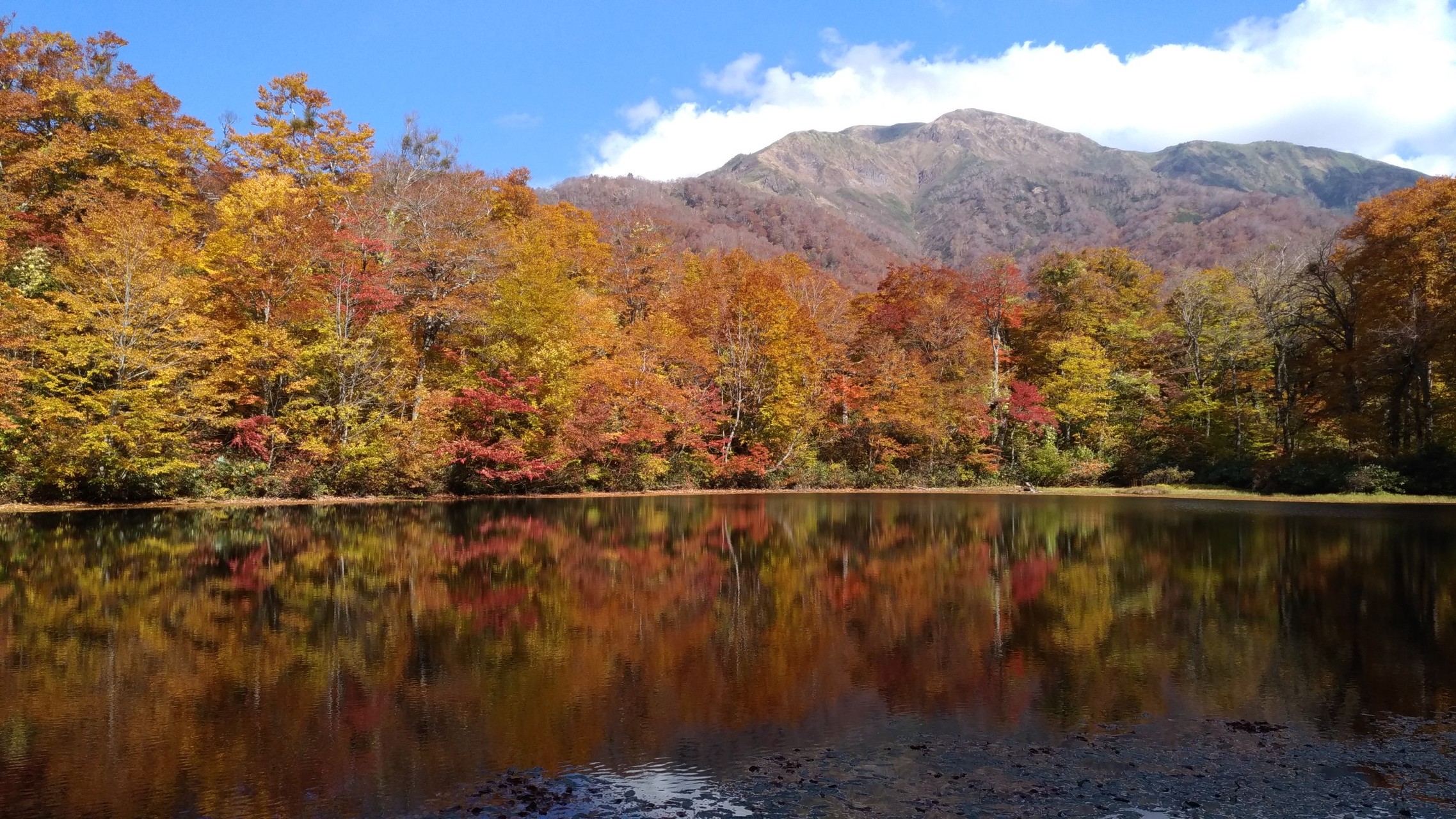 刈込池の紅葉はピークを過ぎつつあります Tr Hiroさんの白山 別山 銚子ヶ峰の活動データ Yamap ヤマップ