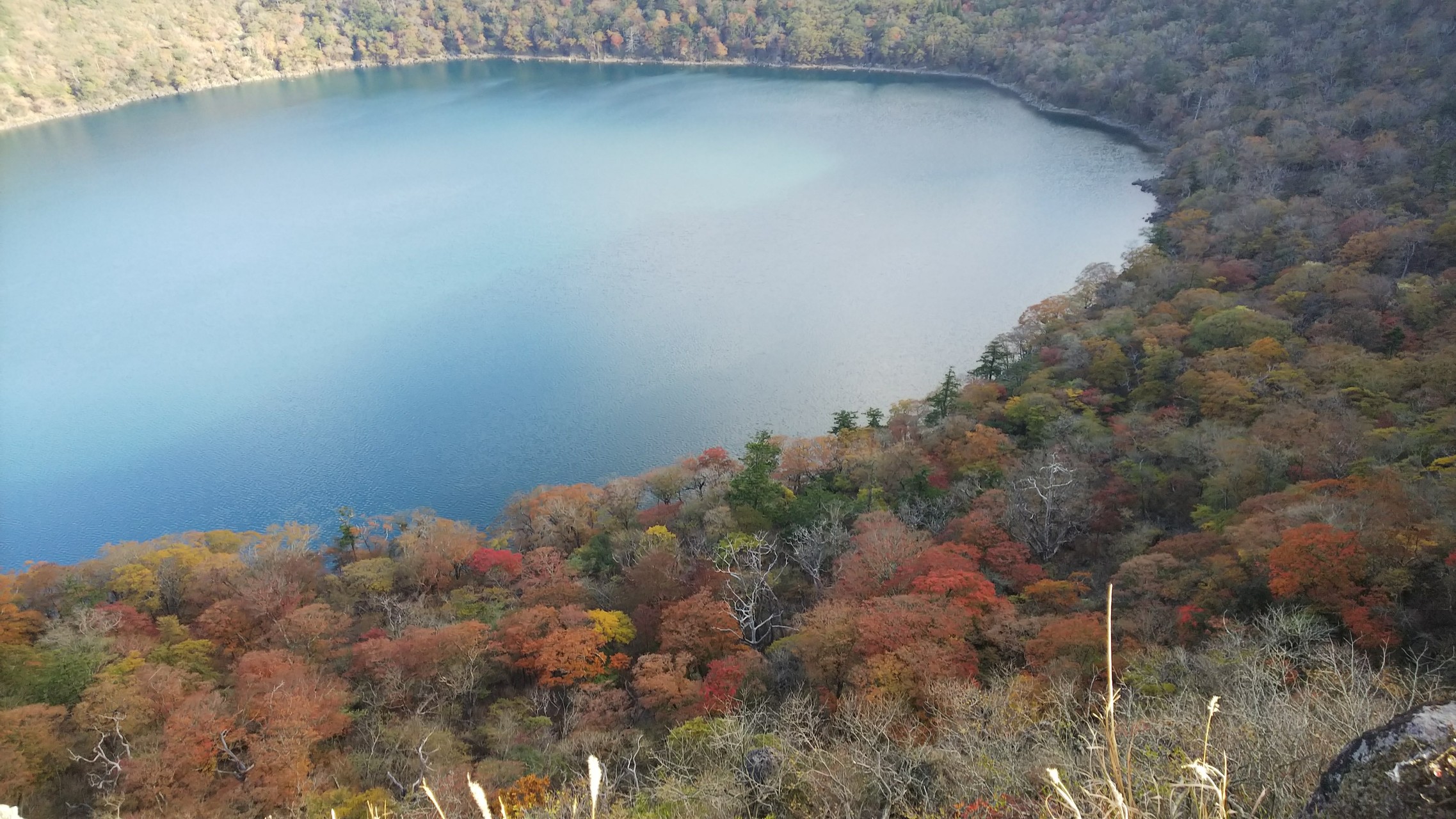 紅葉の大浪池 くーちゃんさんの霧島山 韓国岳 高千穂峰 夷守岳 烏帽子岳の活動データ Yamap ヤマップ