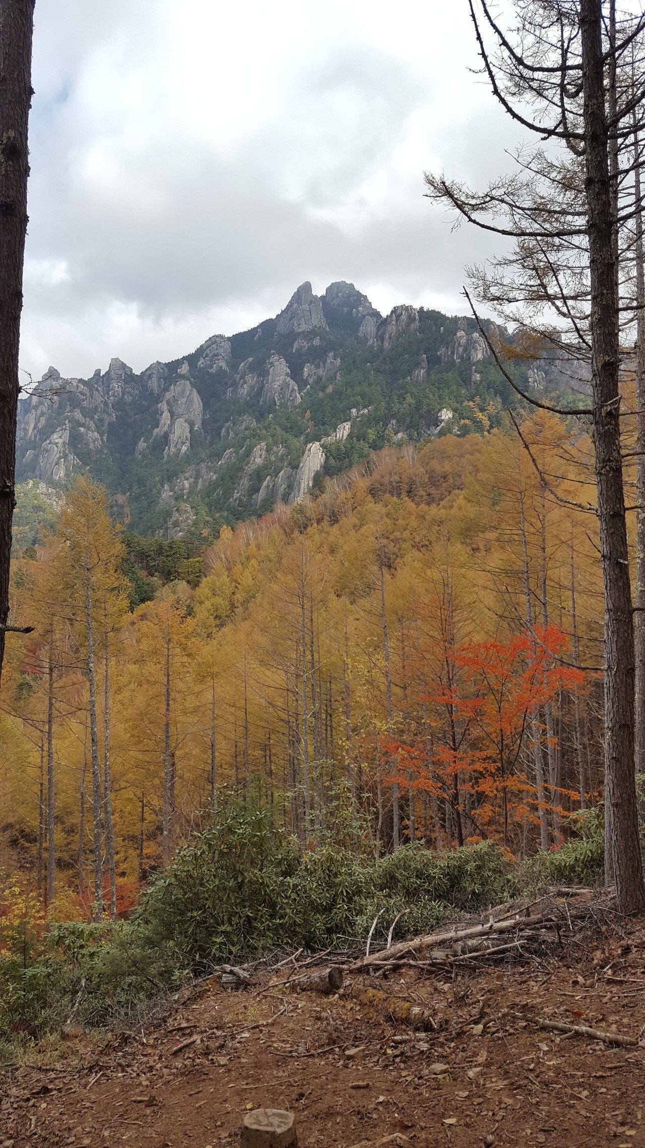 瑞牆山 紅葉ピーク ますますさんの瑞牆山 金峰山の活動日記 Yamap ヤマップ