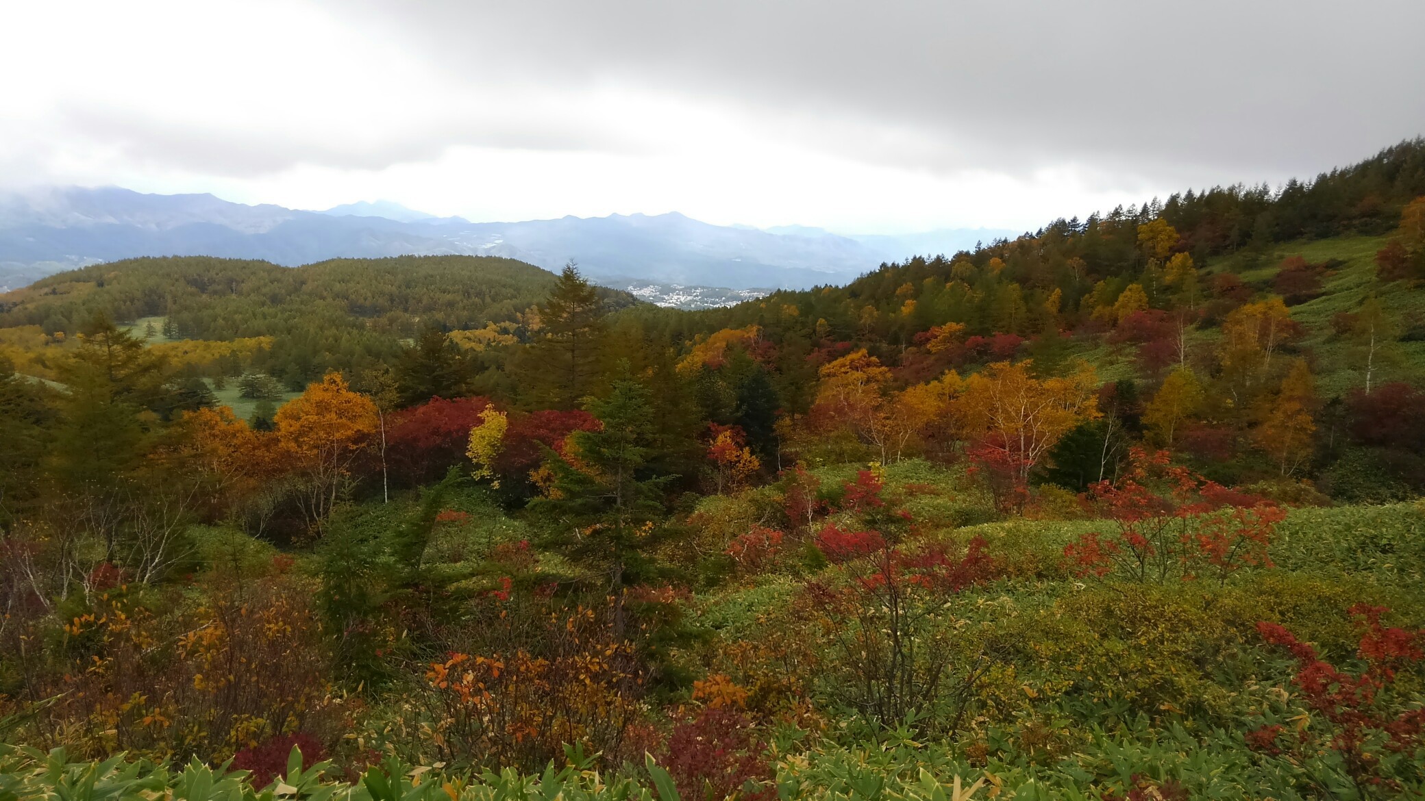 早い紅葉を見に芳ヶ平 たけ 旧たこ さんの草津白根山 湯釜の活動データ Yamap ヤマップ