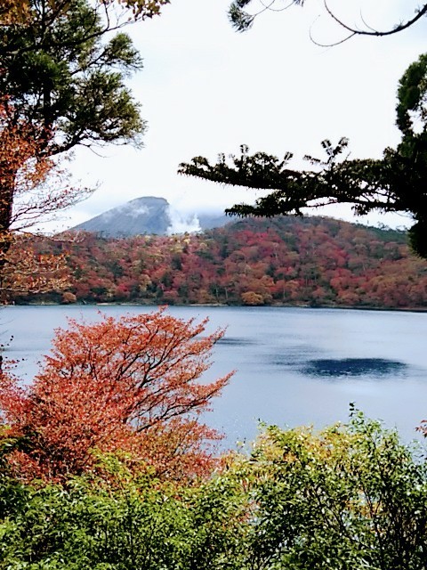 えびの高原のお池周り 紅葉は Norinoriさんの霧島山 韓国岳 高千穂峰の活動データ Yamap ヤマップ