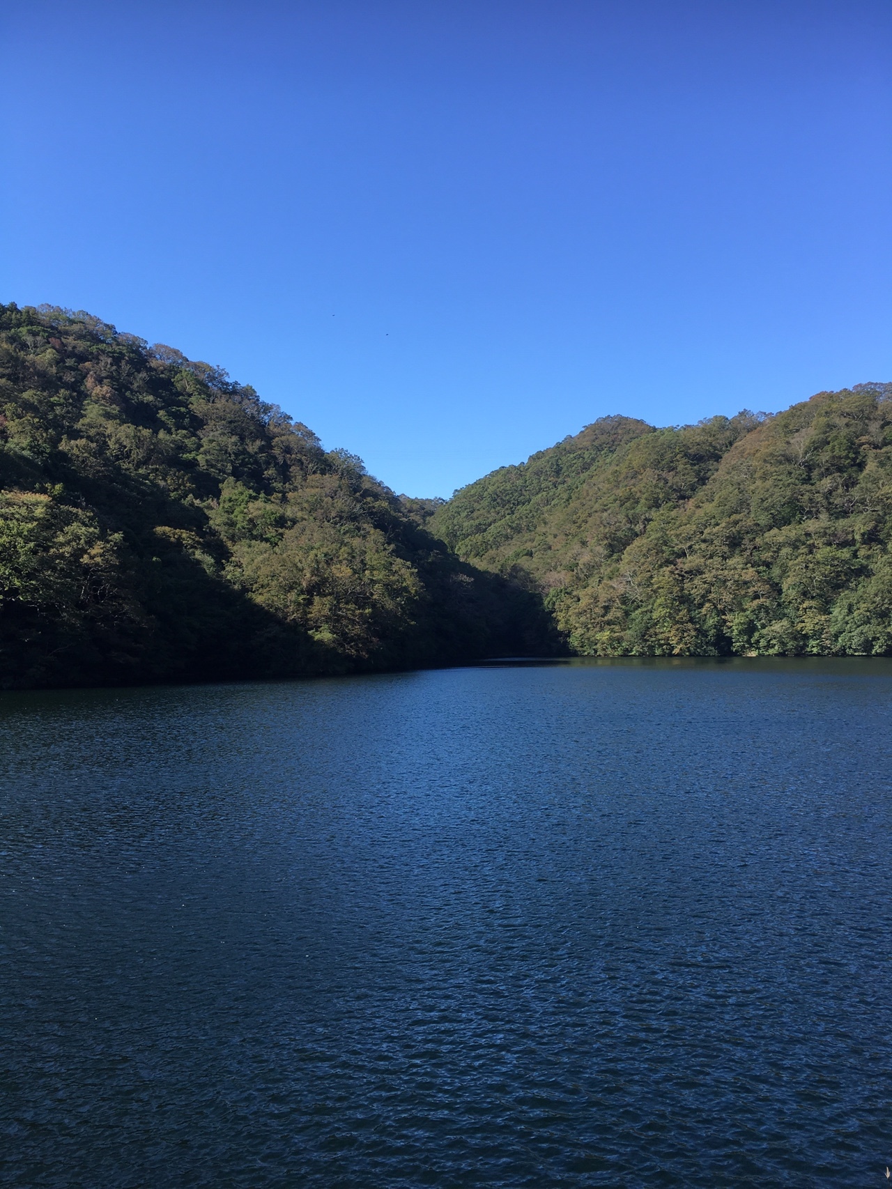 18年10月28日 再度山公園へハイキング Yovさんの神戸市の活動データ Yamap ヤマップ