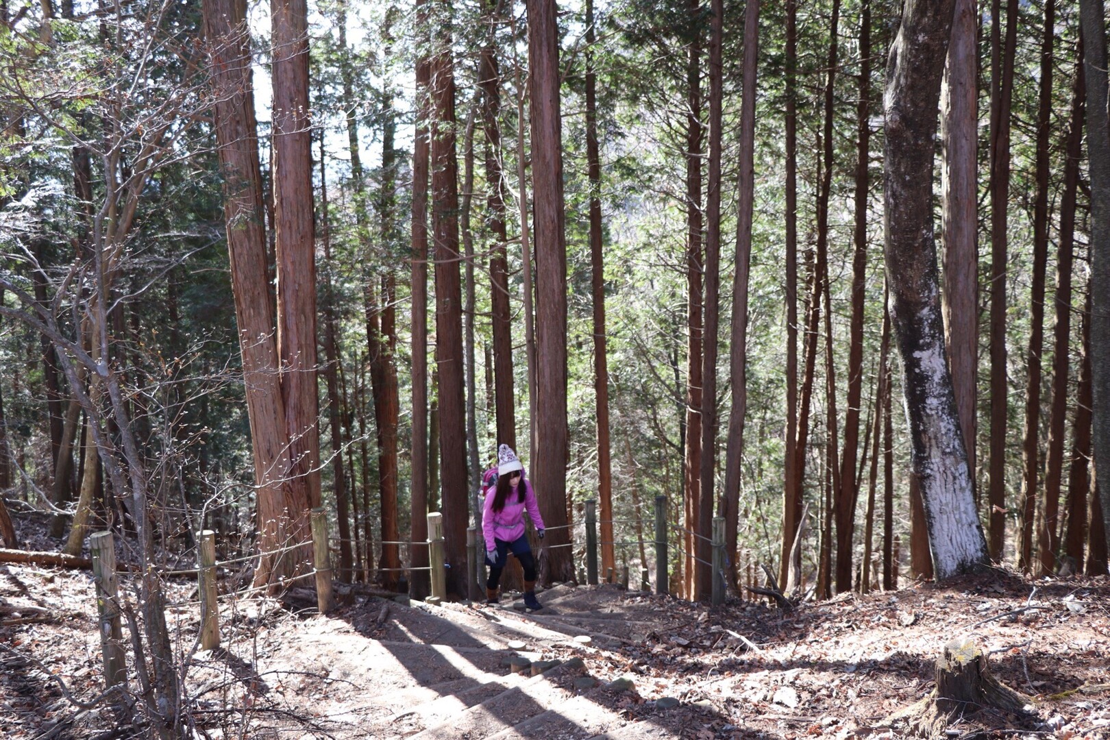 榛名山 掃部ヶ岳 19 12 08 Natsu さんの榛名山 天狗山 天目山の活動日記 Yamap ヤマップ