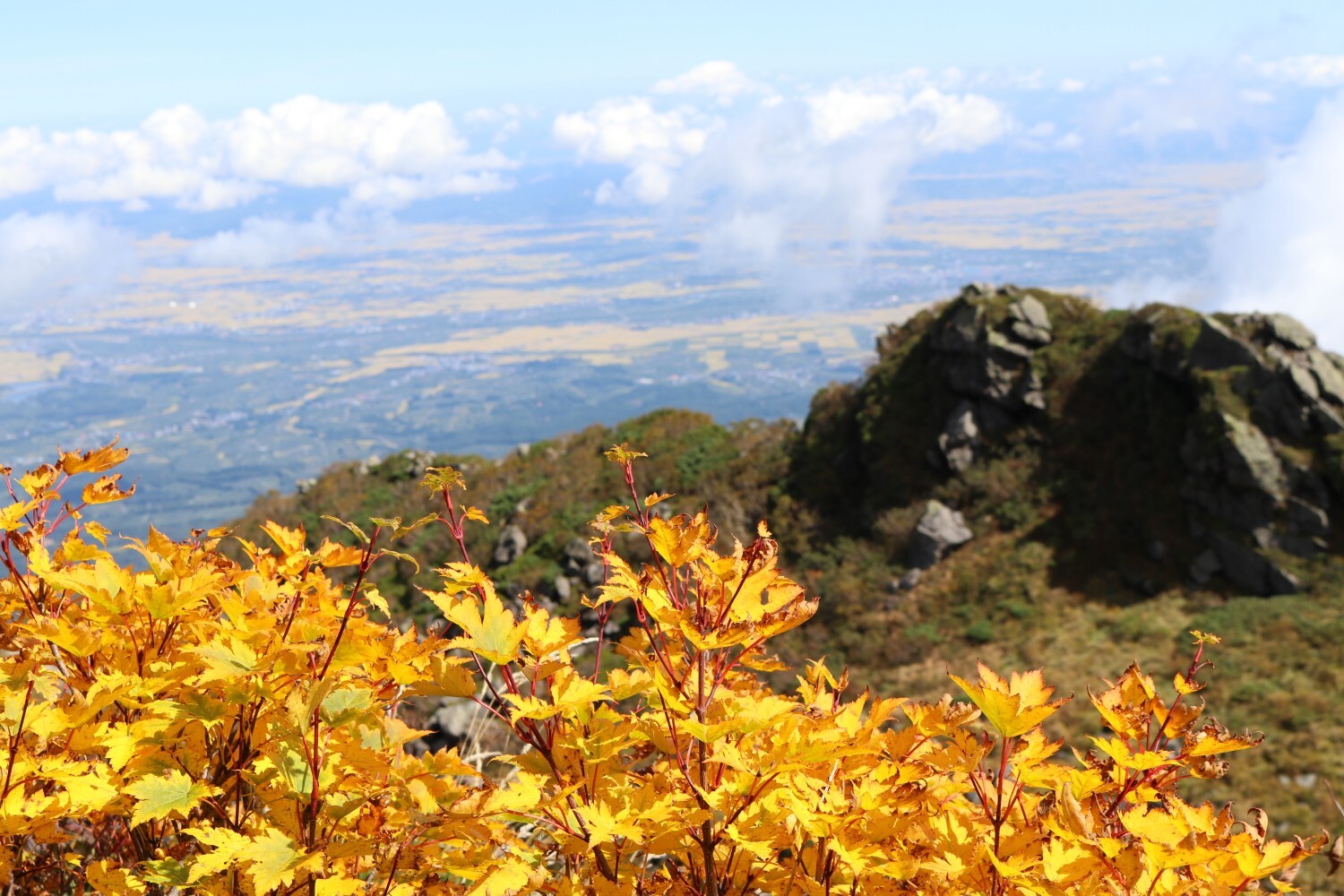 岩木山紅葉レポ21 09 19 岩木山 岩鬼山 鳥海山 鍋森山の写真32枚目 キレイに紅葉 Yamap ヤマップ