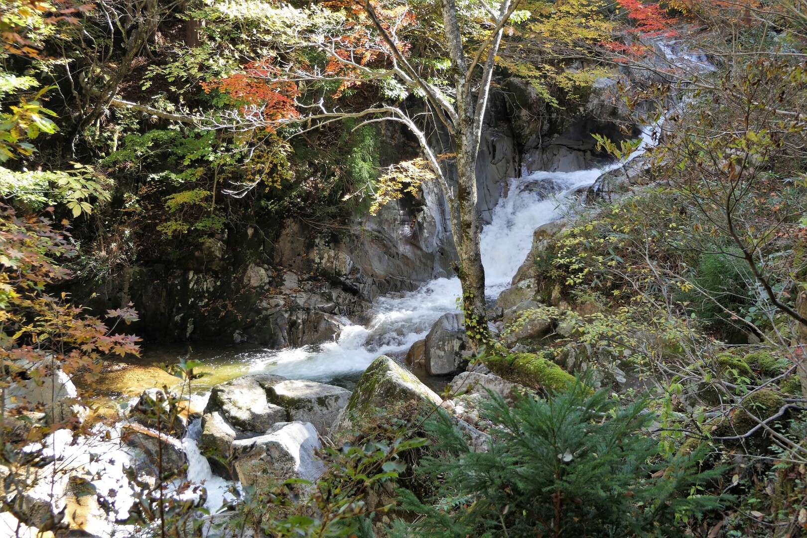芦津渓谷源流紅葉と小藤仙ブナ林黄葉 東山 鳴滝山の写真8枚目 08渓谷美その4 石臼の滝上部です Yamap ヤマップ