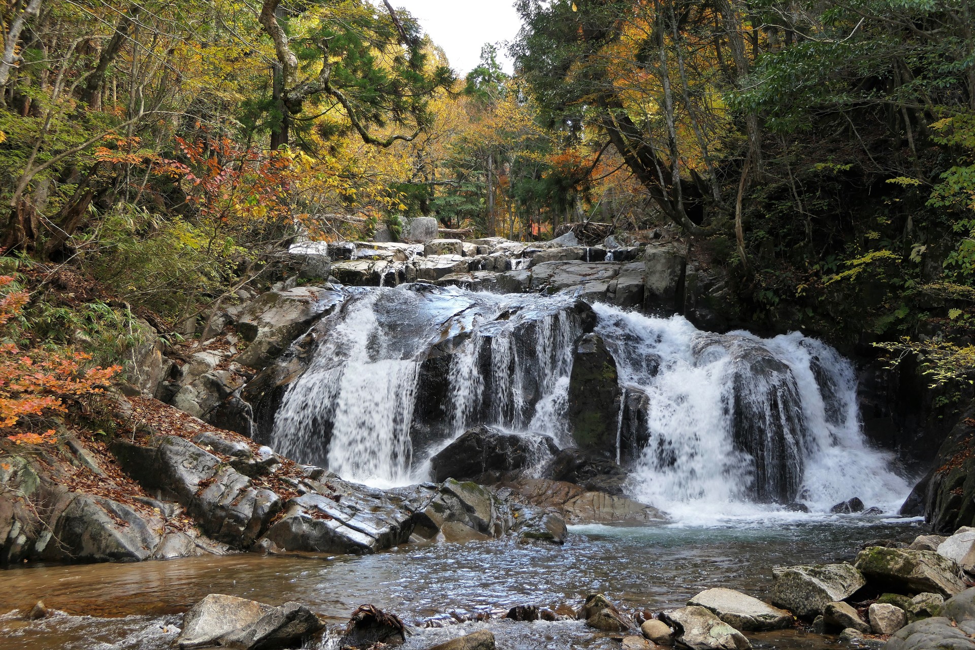 芦津渓谷源流紅葉と小藤仙ブナ林黄葉 Denaliさんの東山 鳴滝山の活動日記 Yamap ヤマップ