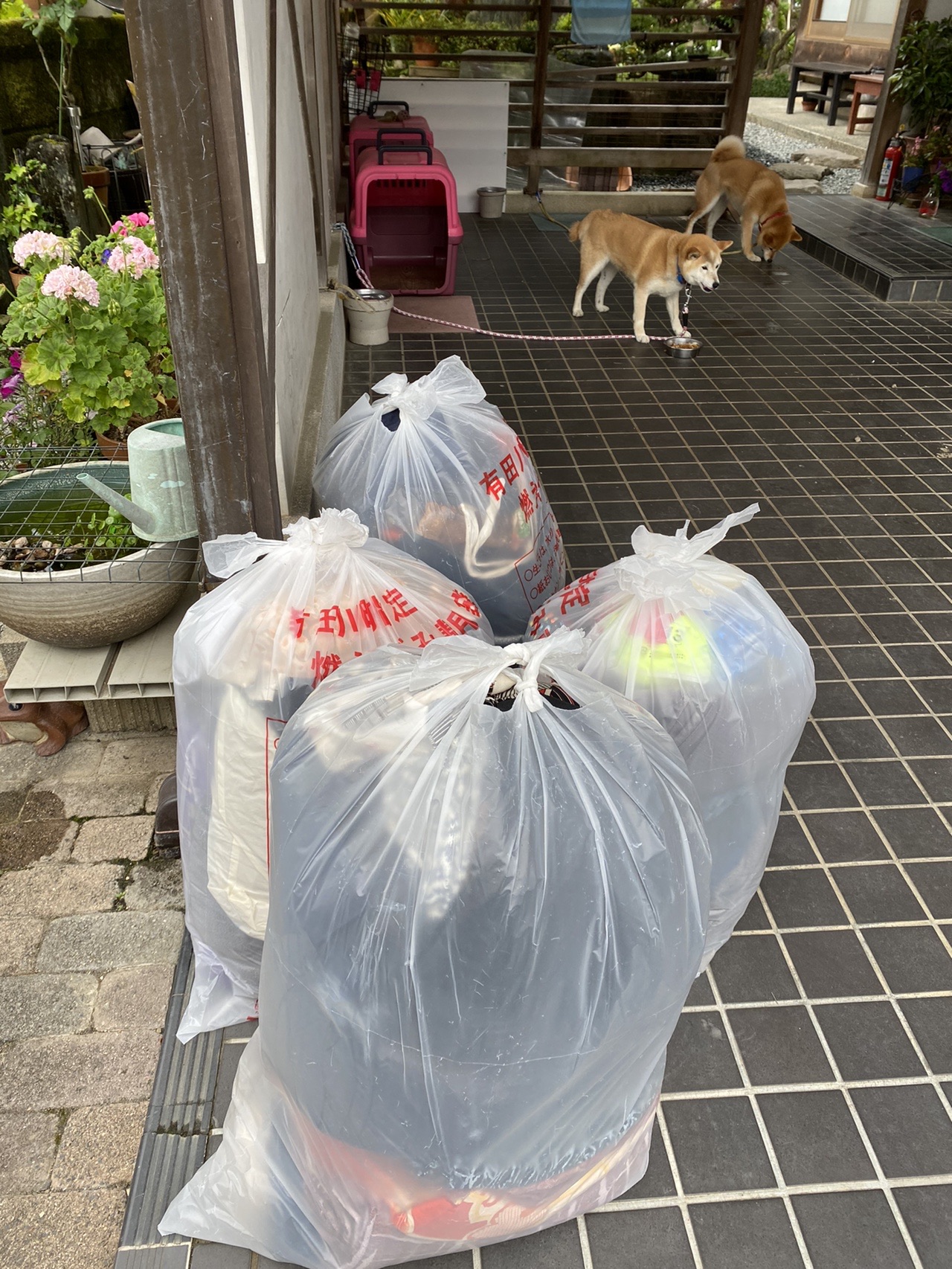 山里日記 あと少しの辛抱 05 04 てんてんさんの登山の活動日記 Yamap ヤマップ