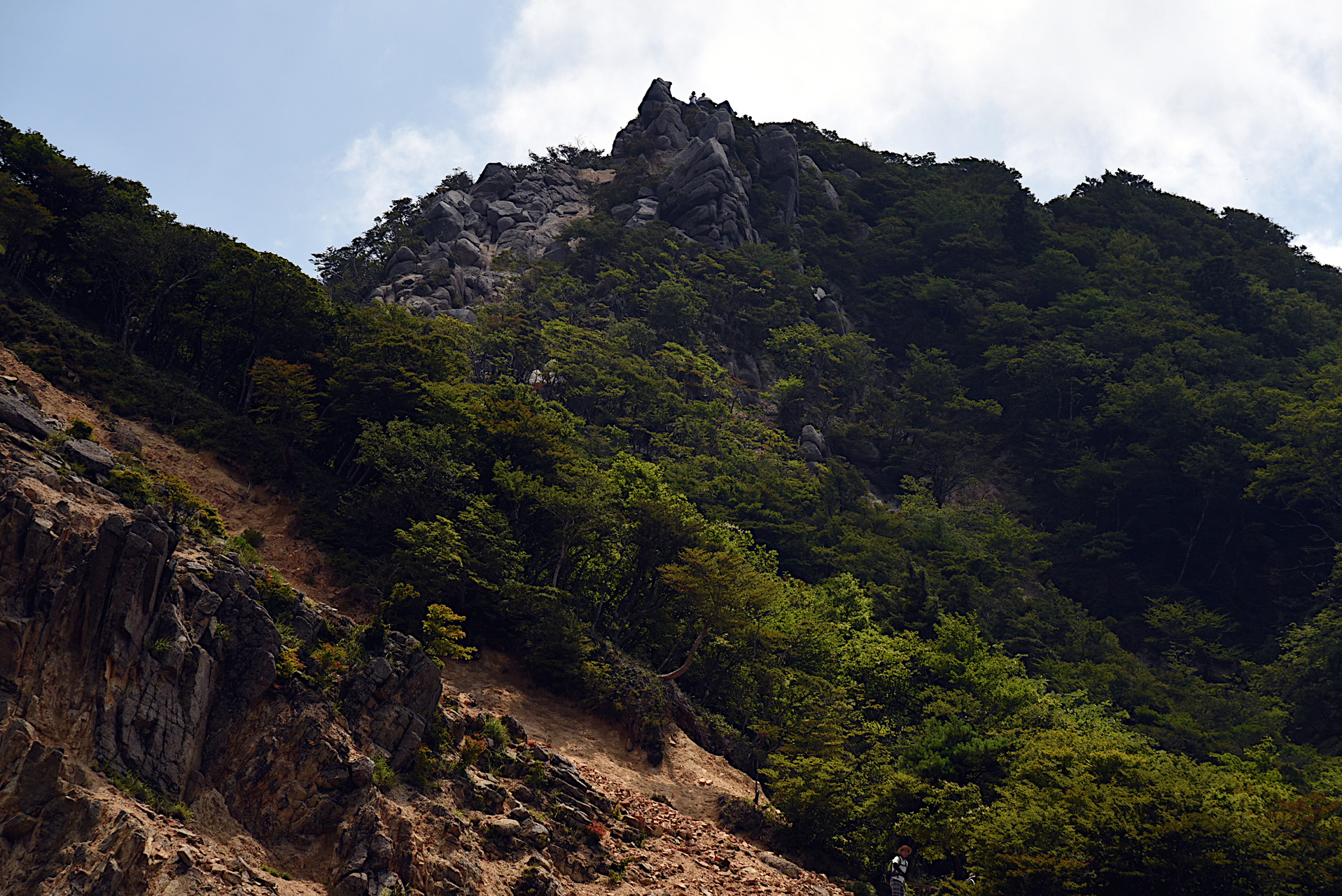 入道ヶ岳・鎌ヶ岳・仙ヶ岳 鎌ヶ岳の山頂部