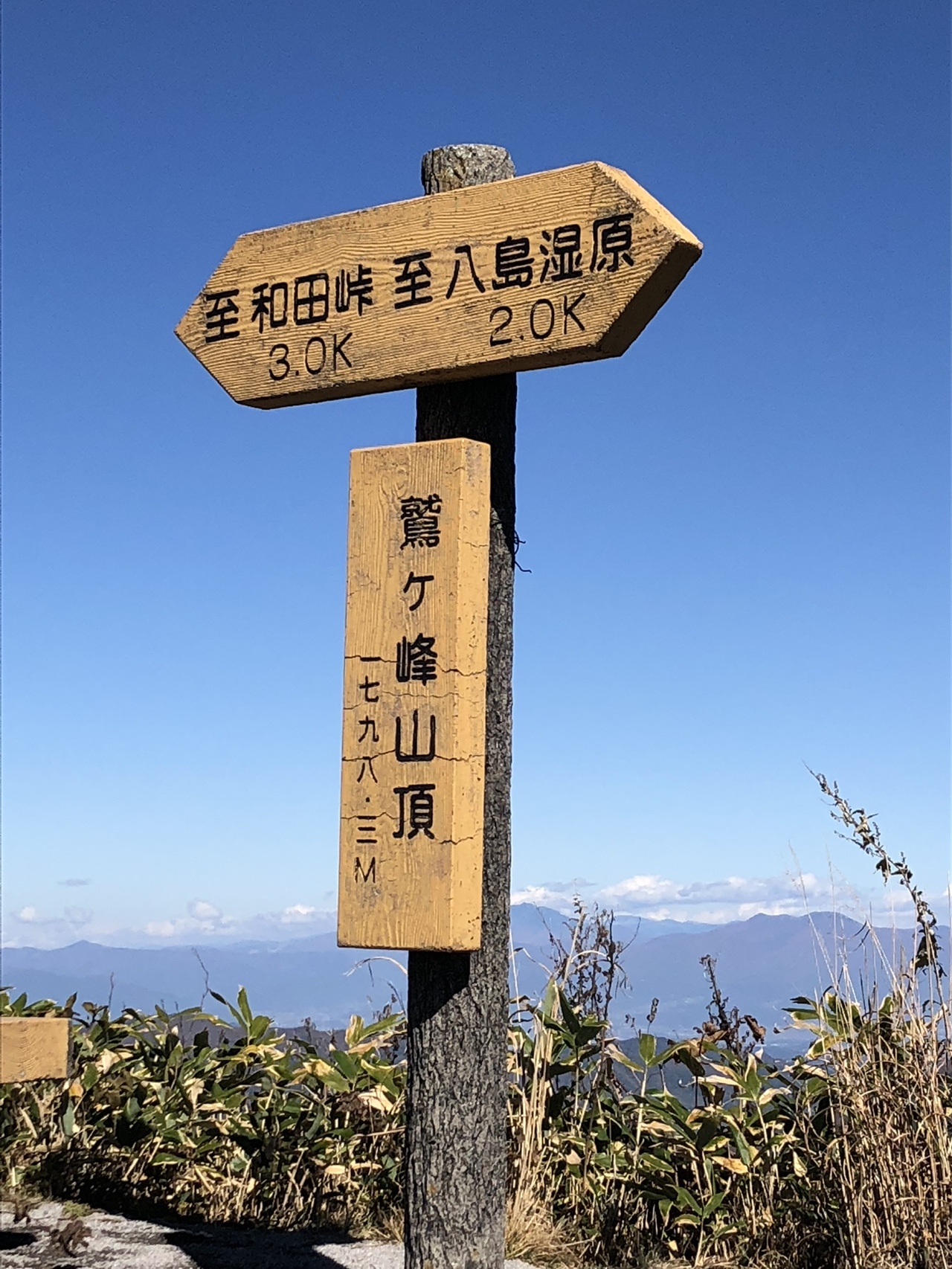 八ヶ岳連峰 富士山 浅間山連邦 北アルプス 中央アルプス 南アルプスぜーんぶ見えました 最高の天気に最高の景色 すごく登りやす山で楽しかったぁ ナータンさんの霧ヶ峰 車山 大笹峰の活動日記 Yamap ヤマップ