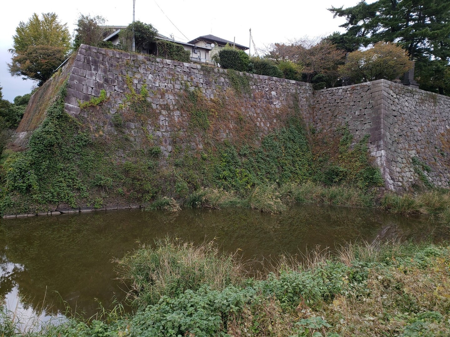 筑後川沿いを歩く さとるっちさんの久留米市の活動日記 Yamap ヤマップ