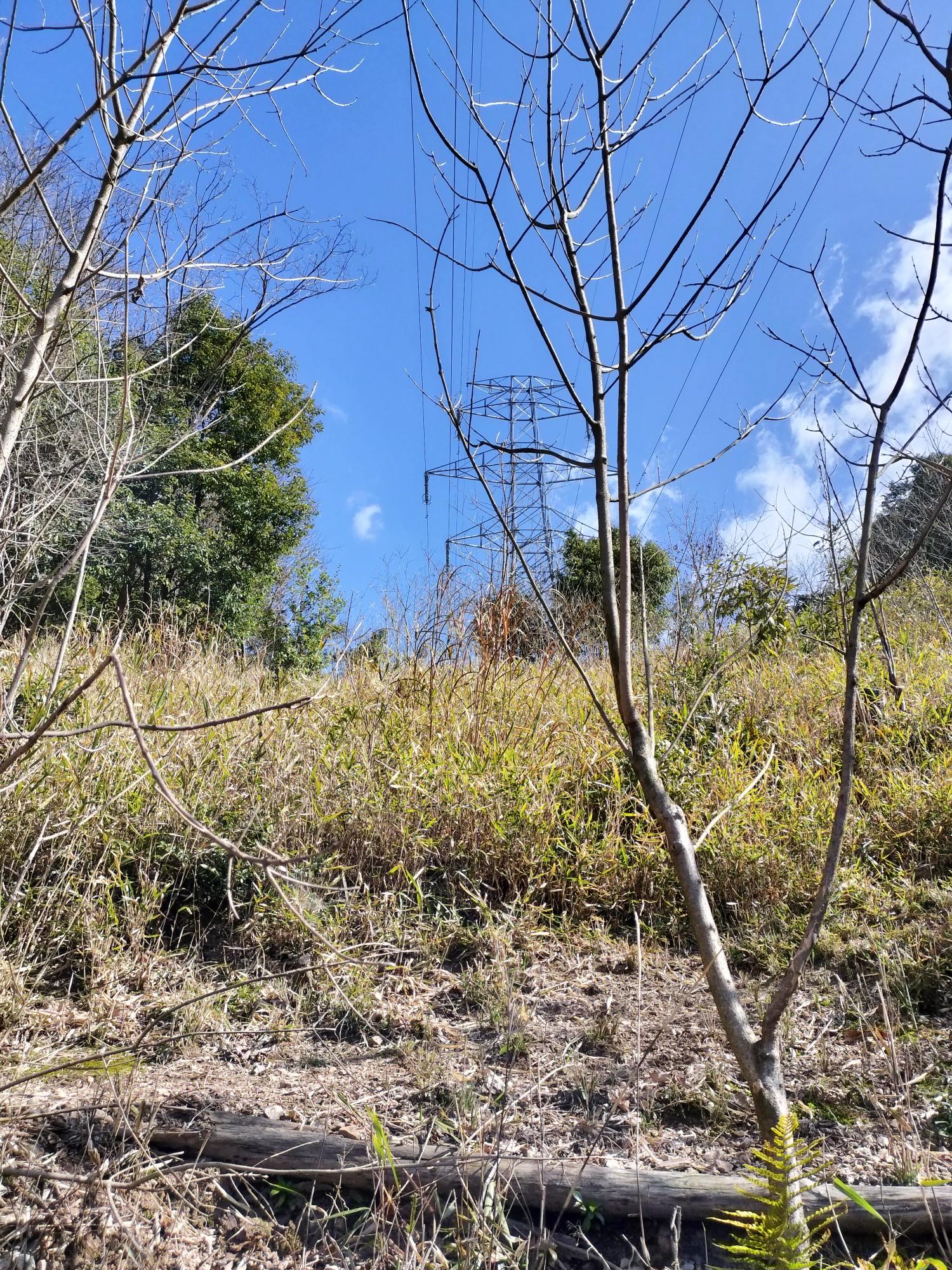 大谷山 / inojunさんの大谷山・滝谷山・城ヶ峰の活動データ | YAMAP / ヤマップ