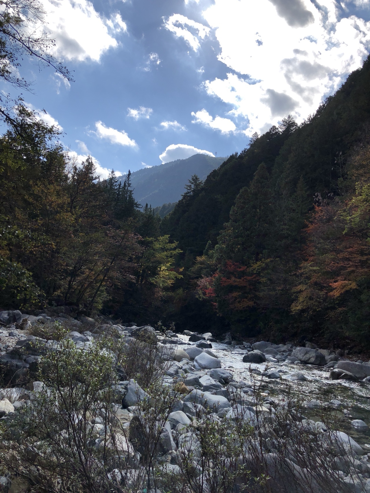 阿寺渓谷 柿其渓谷 Junjjさんの南木曽岳の活動日記 Yamap ヤマップ