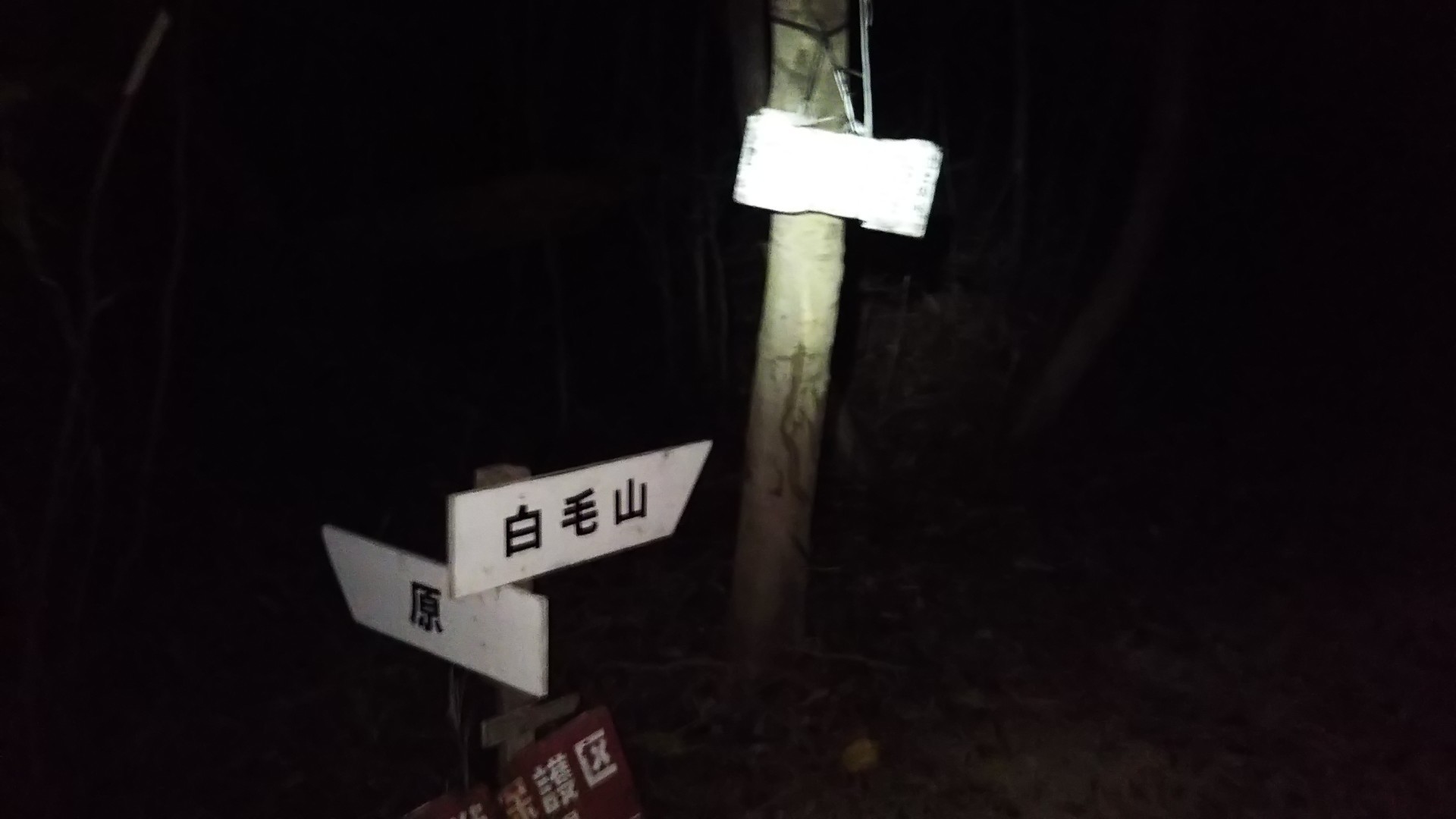 聞こえる ガサガサ 耳 が