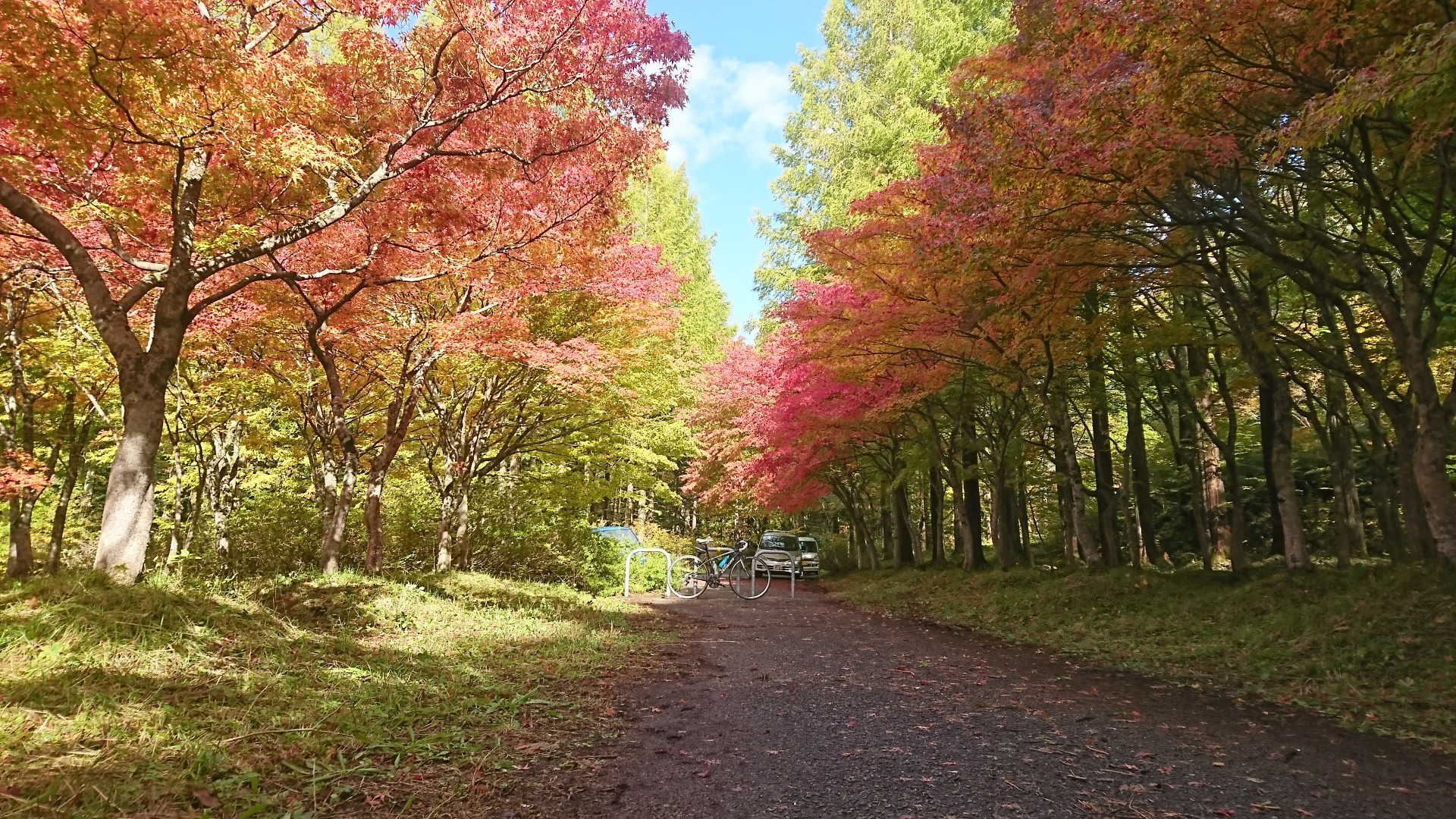 仁別森林博物館紅葉ライドでyamap使ってみた Chimneyさんの太平山 秋田 馬場目岳の活動日記 Yamap ヤマップ