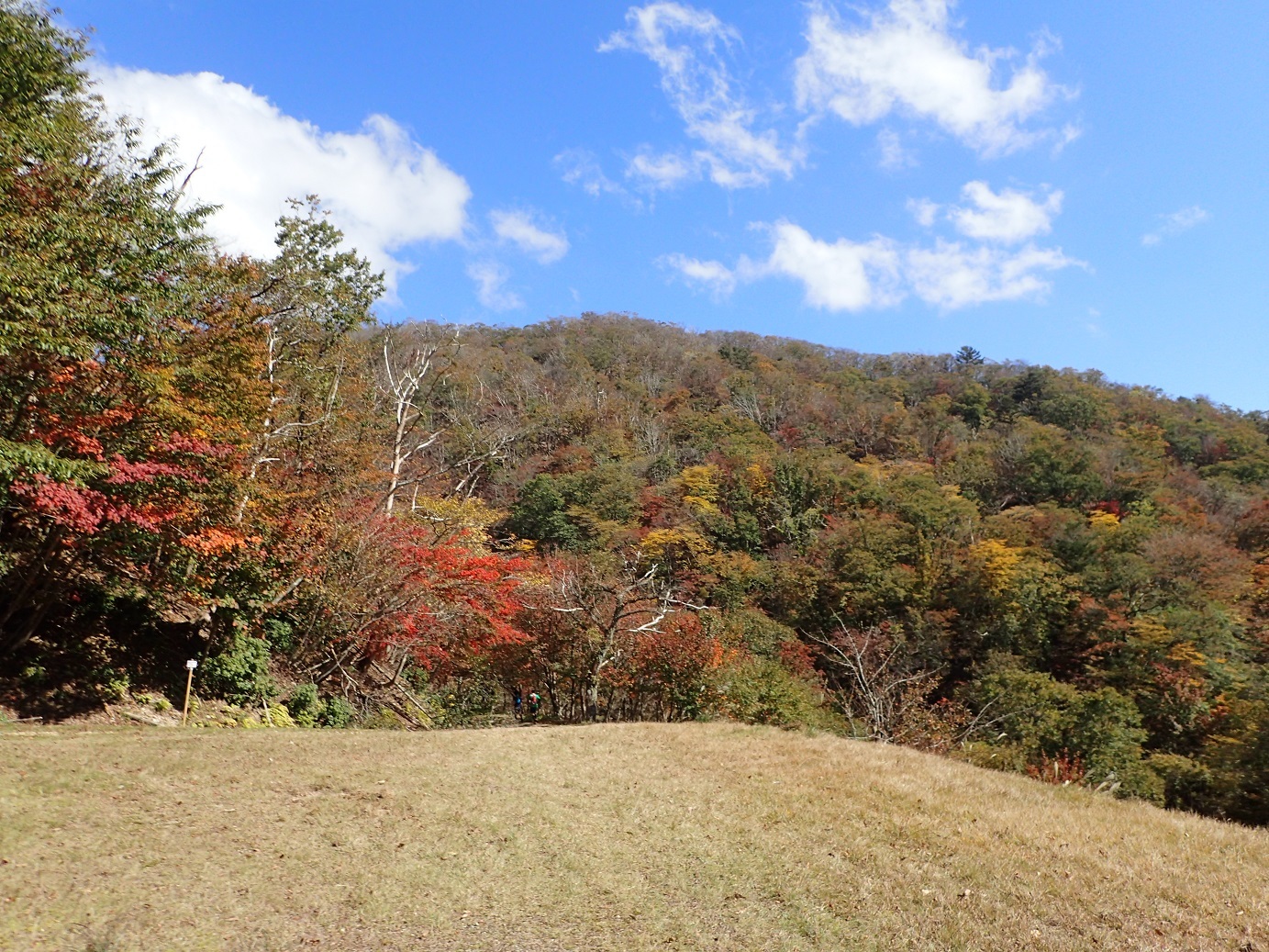 山村都市交流の森 花背トレイルラン さっしーさんの峰床山 鎌倉山の活動データ Yamap ヤマップ