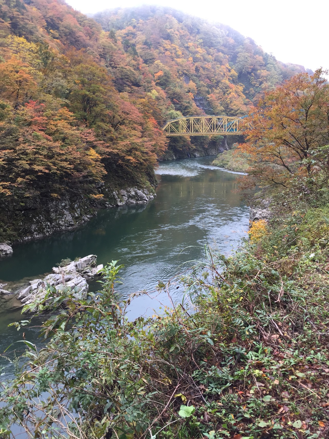 番外編 赤芝峡に紅葉を観に行ったよ 秋 モモちゃんさんの高坪山の活動データ Yamap ヤマップ