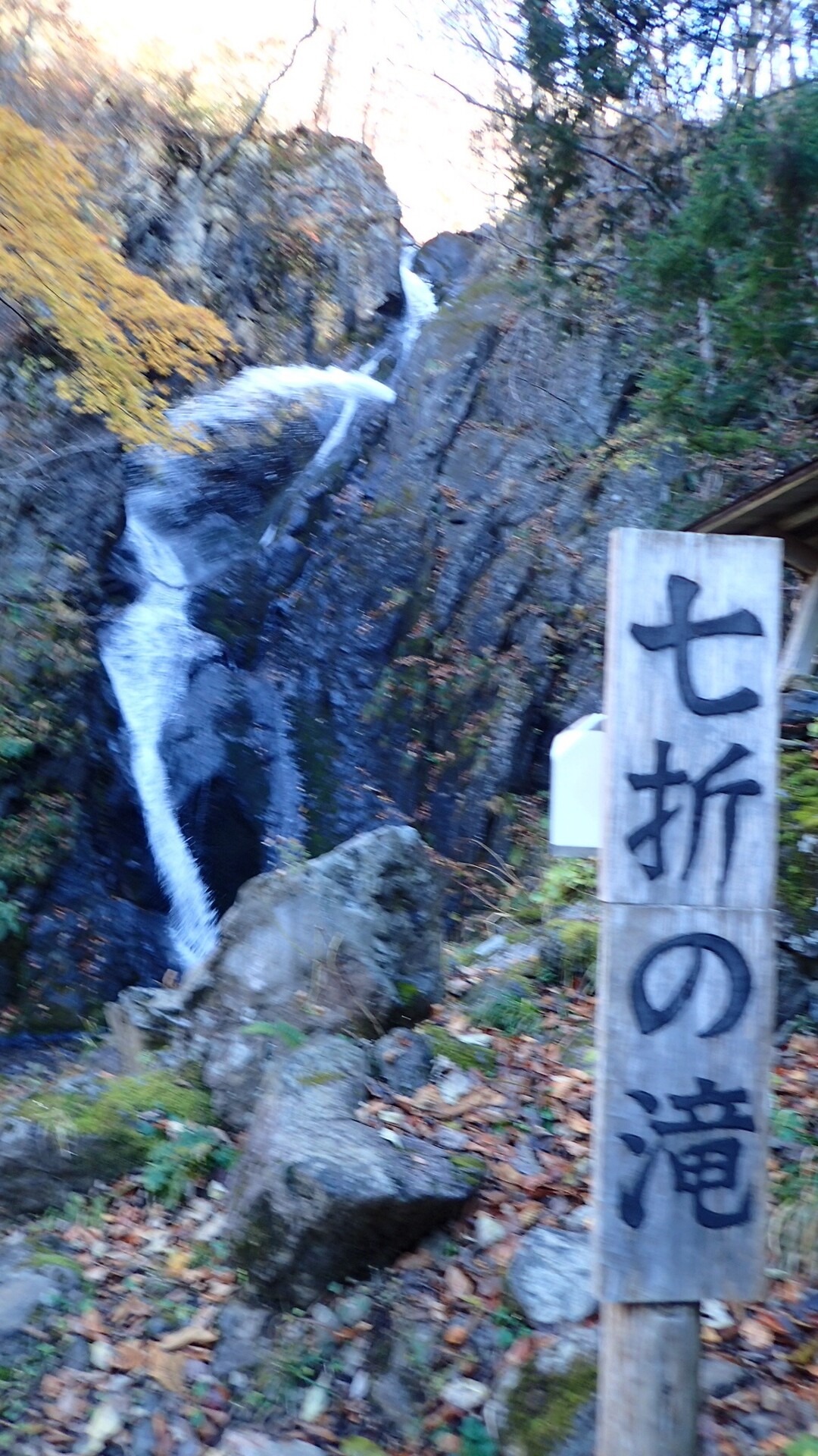 鶏頭山 七折の滝から登り 避難小屋側に下山 相棒マークさんの早池峰山 薬師岳 鶏頭山の活動データ Yamap ヤマップ
