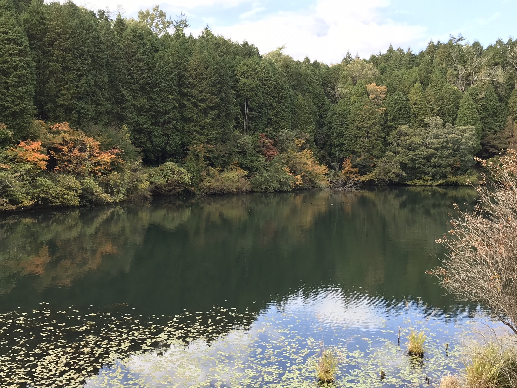 深山（かさはら潮見の森〜深山砂防ダム湖〜高根池〜北山平〜深山〜大洞 