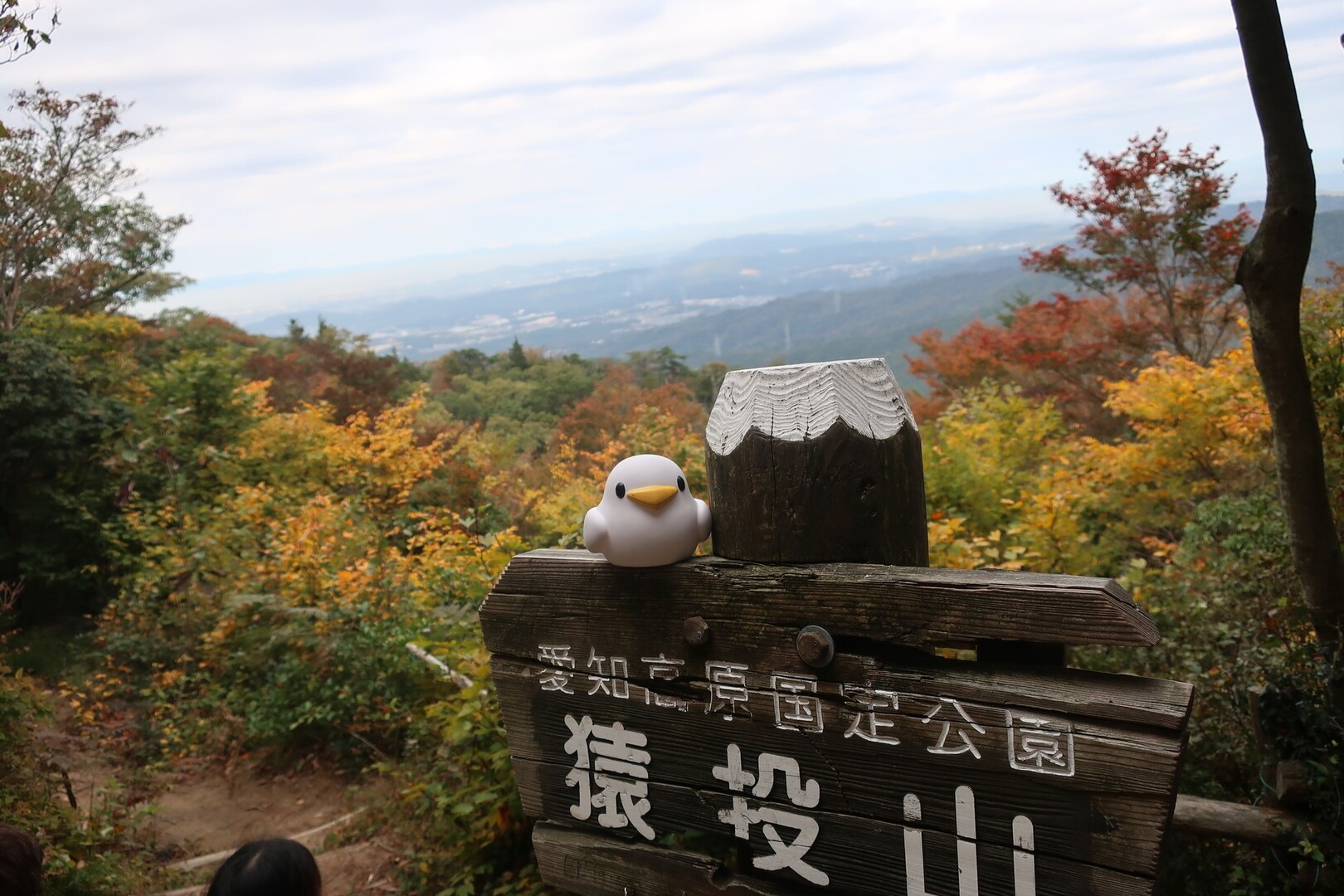 紅葉 始まってました 猿投山 しげきさんの猿投山 物見山の活動データ Yamap ヤマップ