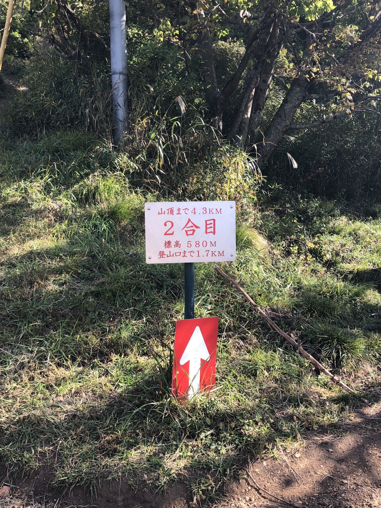 伊吹山 迷わず行けよ 行けばわかるさ ゆうさんさんの伊吹山 伊吹高原 御座峰の活動日記 Yamap ヤマップ