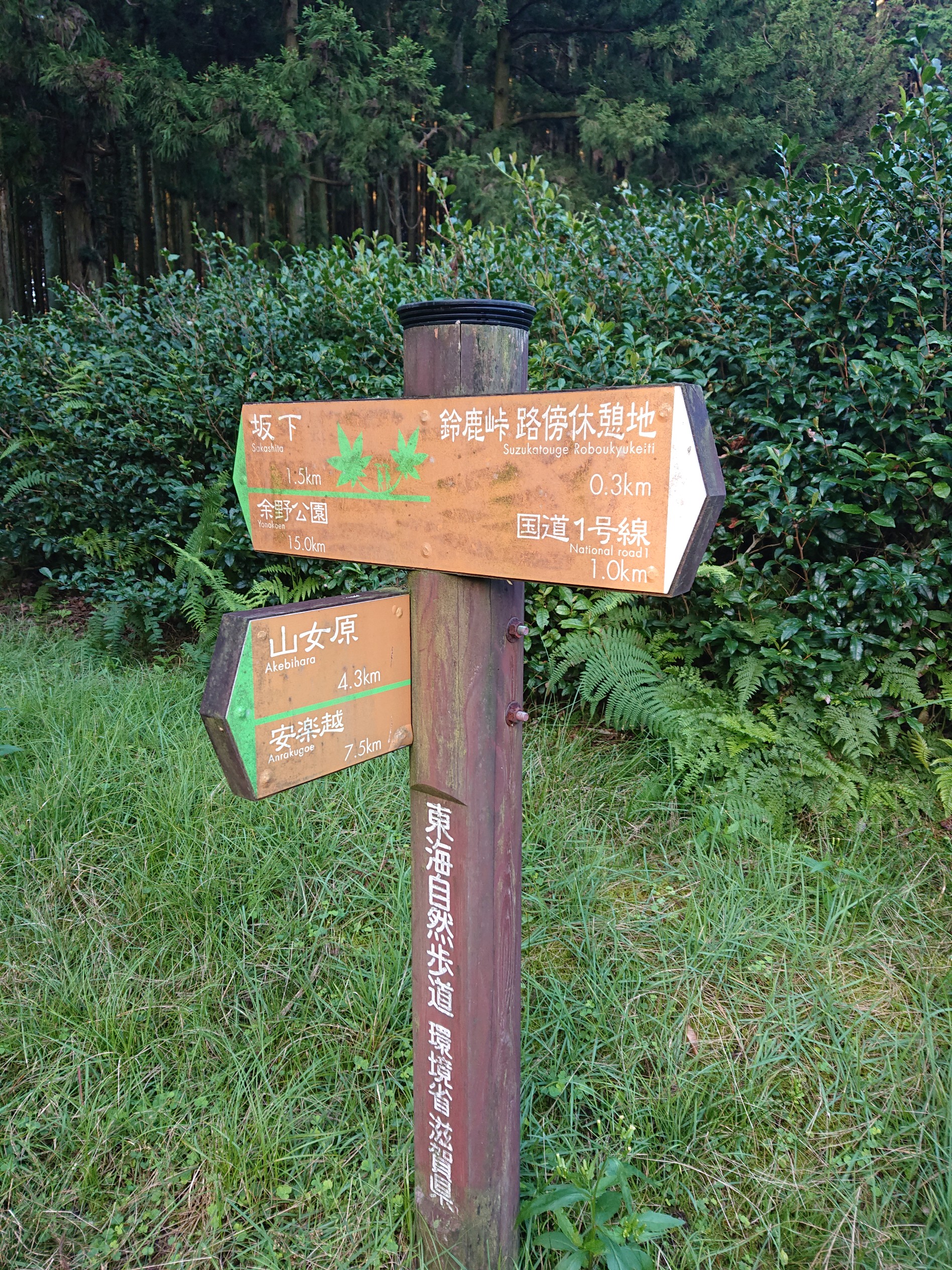 鈴鹿峠から長峰尾根経由で高畑山の周回 プラスさんの高畑山 三重県 滋賀県 那須ヶ原山 油日岳の活動日記 Yamap ヤマップ