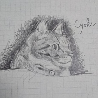 ちょきねこ