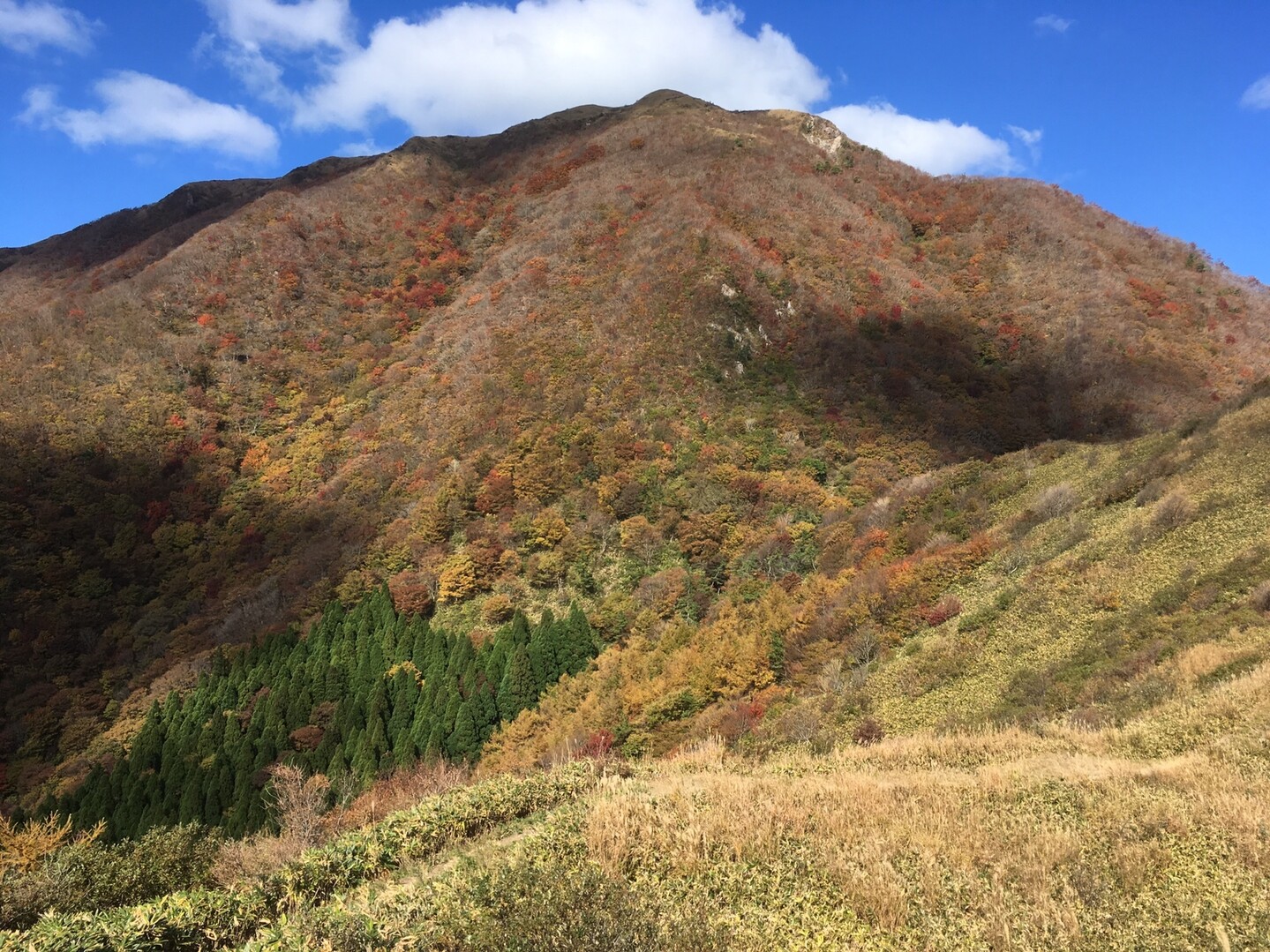 三瓶山 紅葉登山 たか さんの三瓶山 大平山の活動データ Yamap ヤマップ