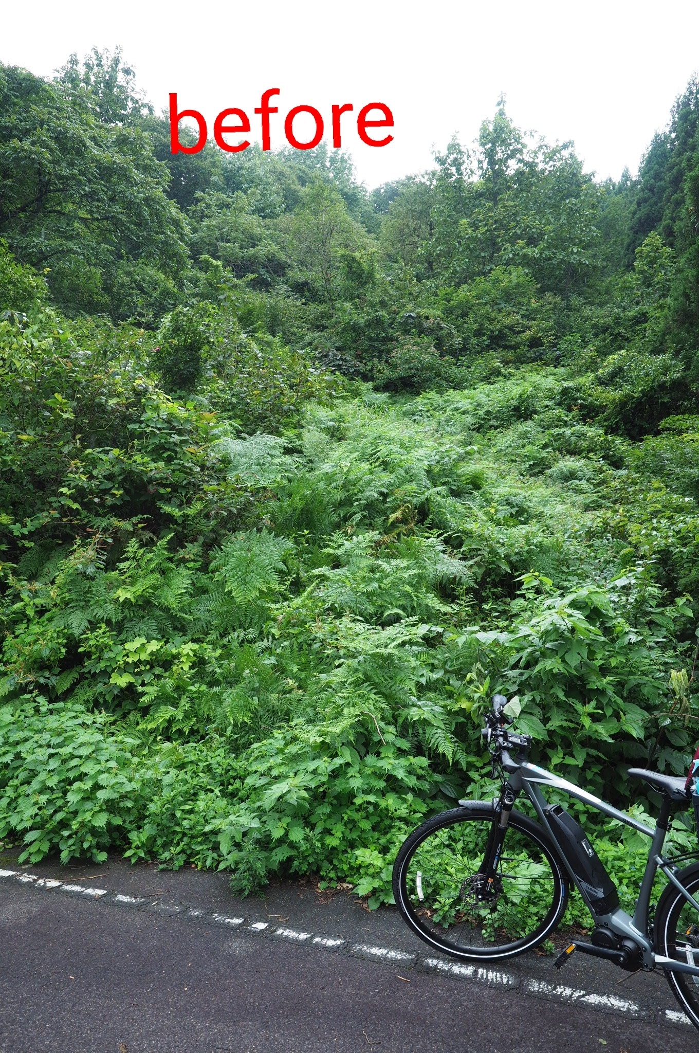 木六山・銀次郎山 悪場峠登山口