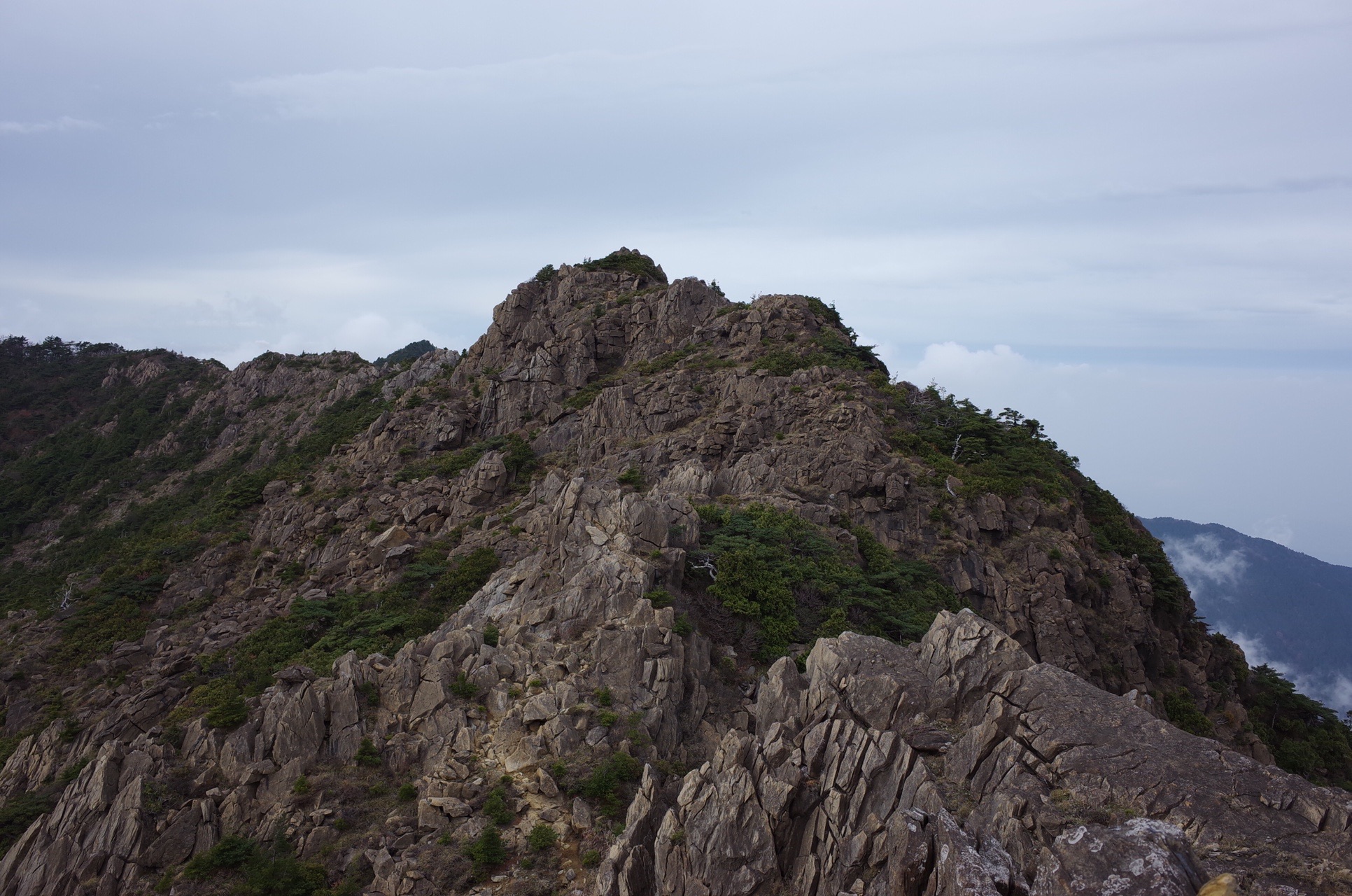 東赤石山 西赤石山縦走 19 11 03 Hakoさんの東赤石山 西赤石山 物住頭の活動データ Yamap ヤマップ
