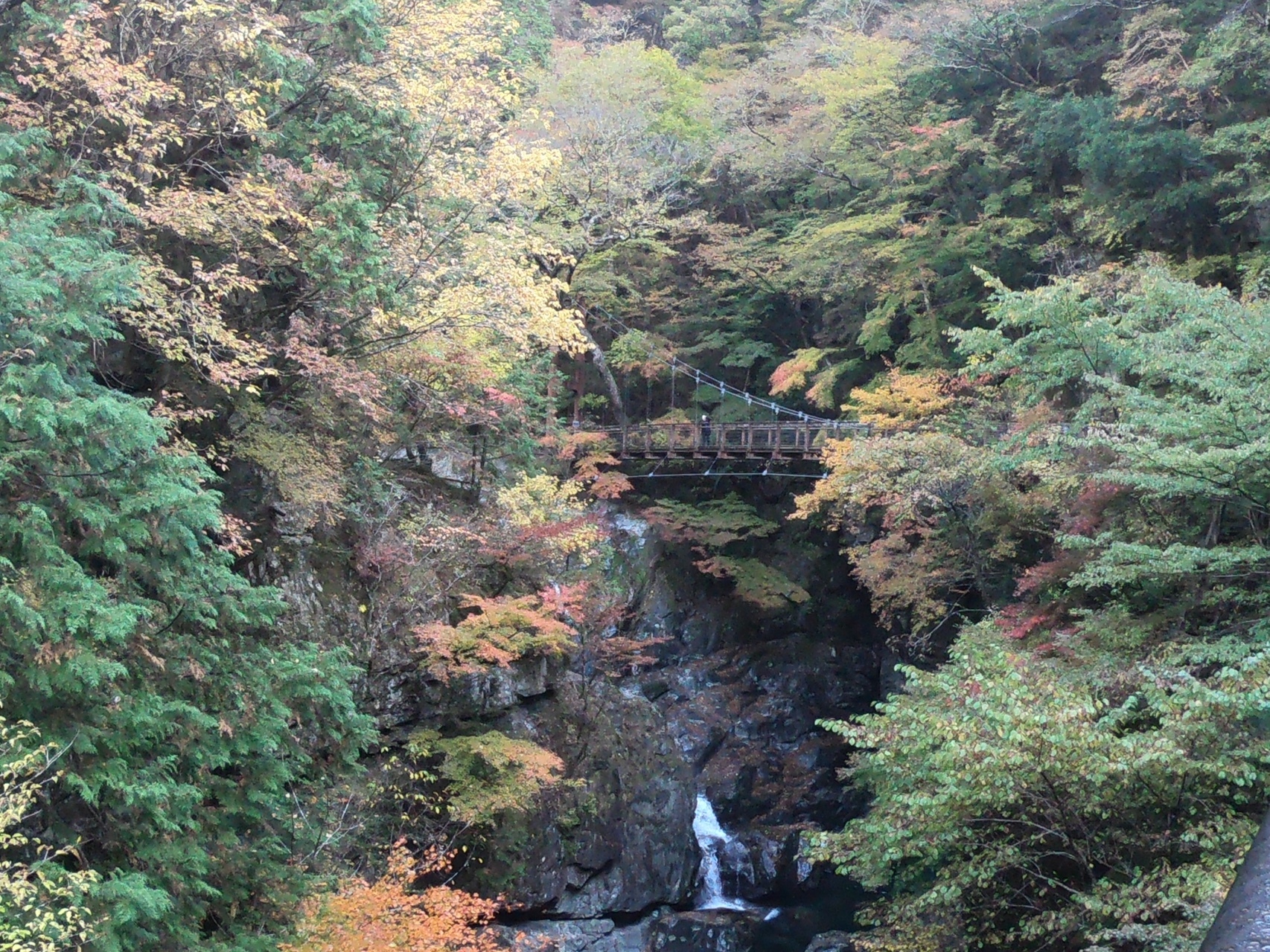 みたらい渓谷へ 紅葉 ヨッシィーさんの観音峯山の活動データ Yamap ヤマップ