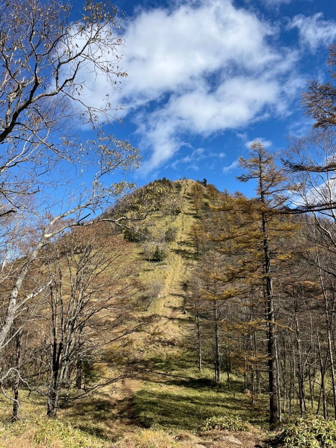 笠取山 / Yさんの和名倉山・笠取山・東仙波の活動データ YAMAP / ヤマップ