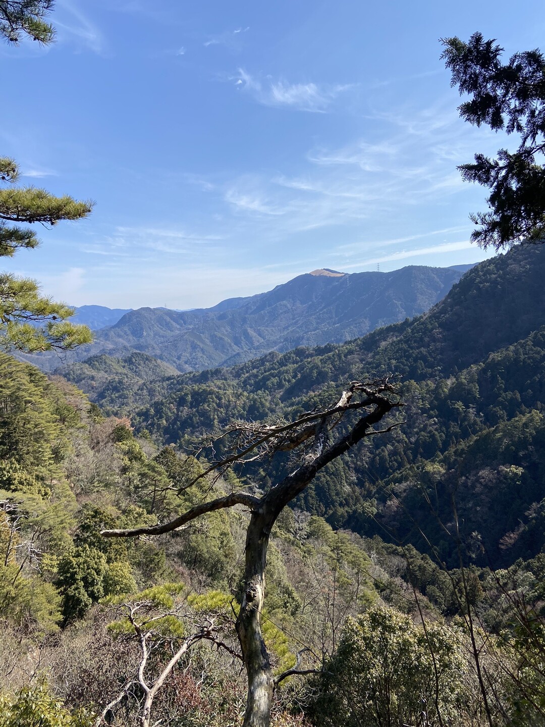 槙尾山・奥槇尾山 / kaiさんの槇尾山（槙尾山）・和泉葛城山・神於山の活動データ YAMAP / ヤマップ