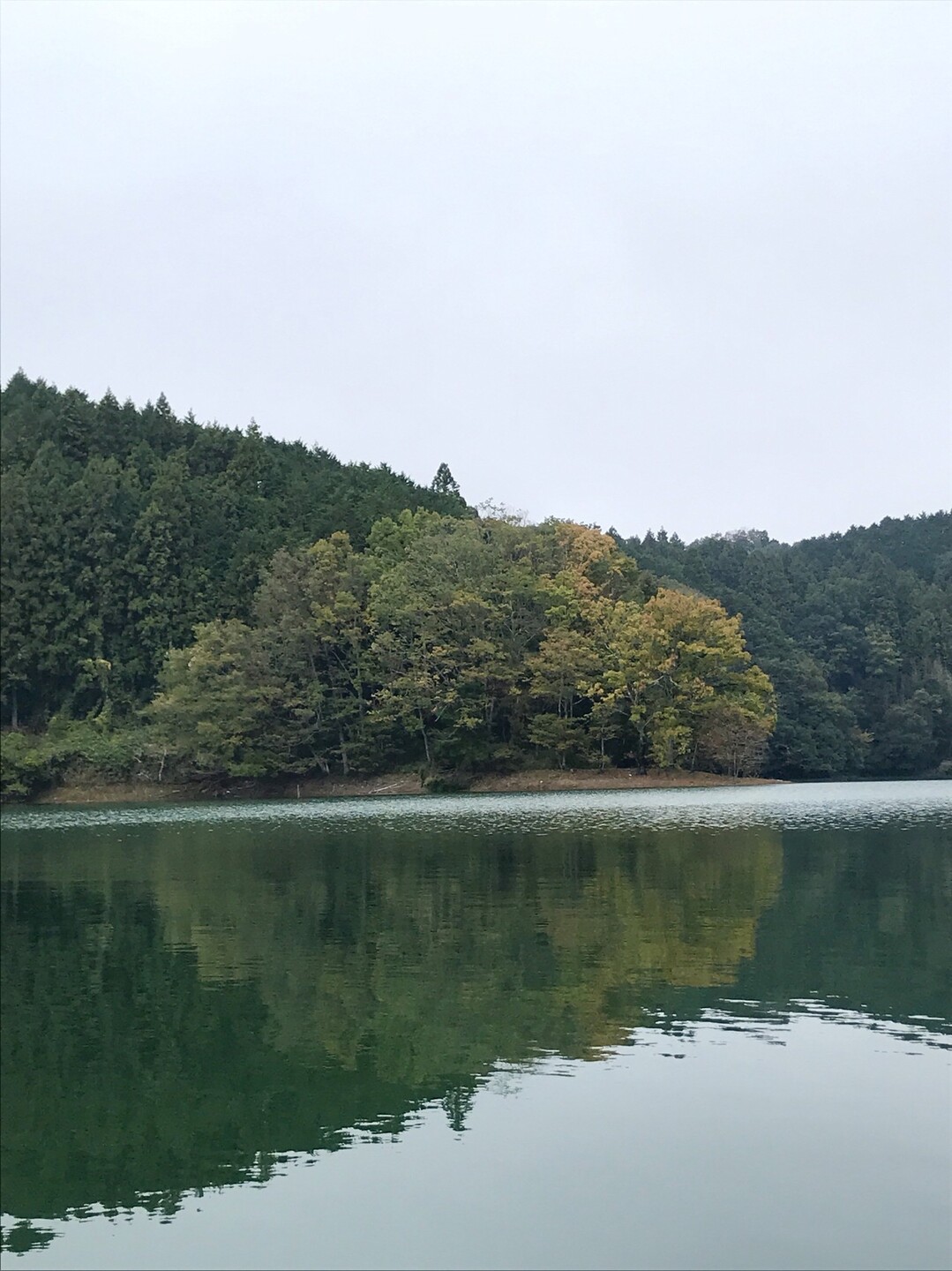青蓮寺湖で のんびりカヤック おっちるさんの長坂山 赤目四十八滝の活動日記 Yamap ヤマップ