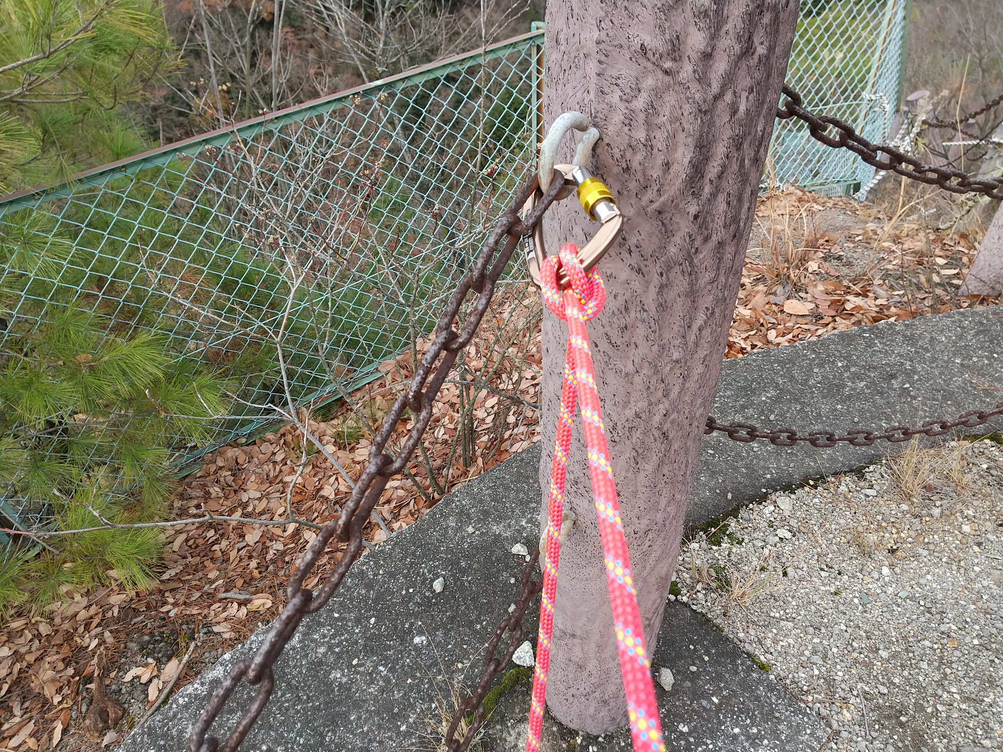 久々に ロープ練習 二上嶽さんの金剛山 二上山 大和葛城山の活動日記 Yamap ヤマップ