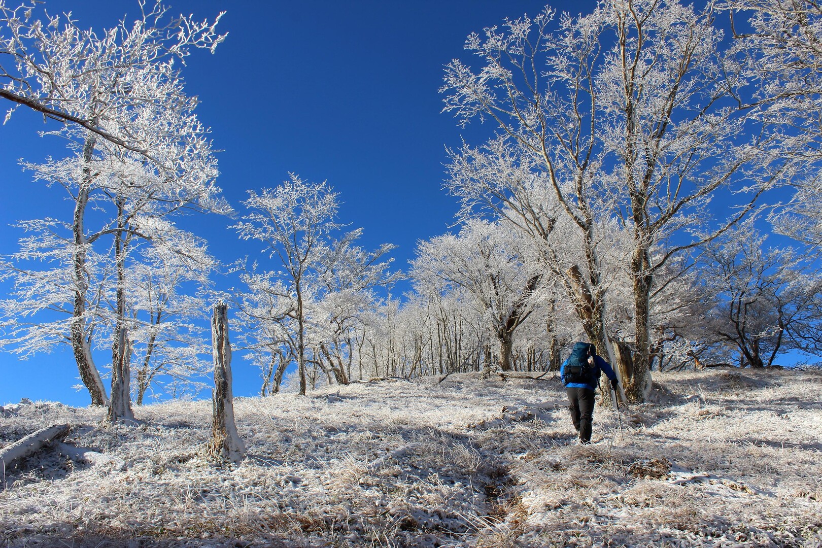 思わぬ初冬の雪景色･八経ヶ岳 / まほろば1839さんの八経ヶ岳の活動データ | YAMAP / ヤマップ