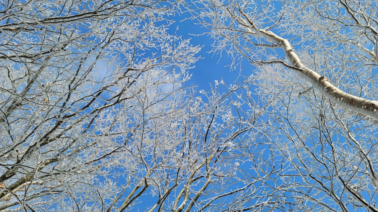 奥丸山（北海道）の最新登山情報 / 人気の登山ルート、写真、天気など YAMAP / ヤマップ