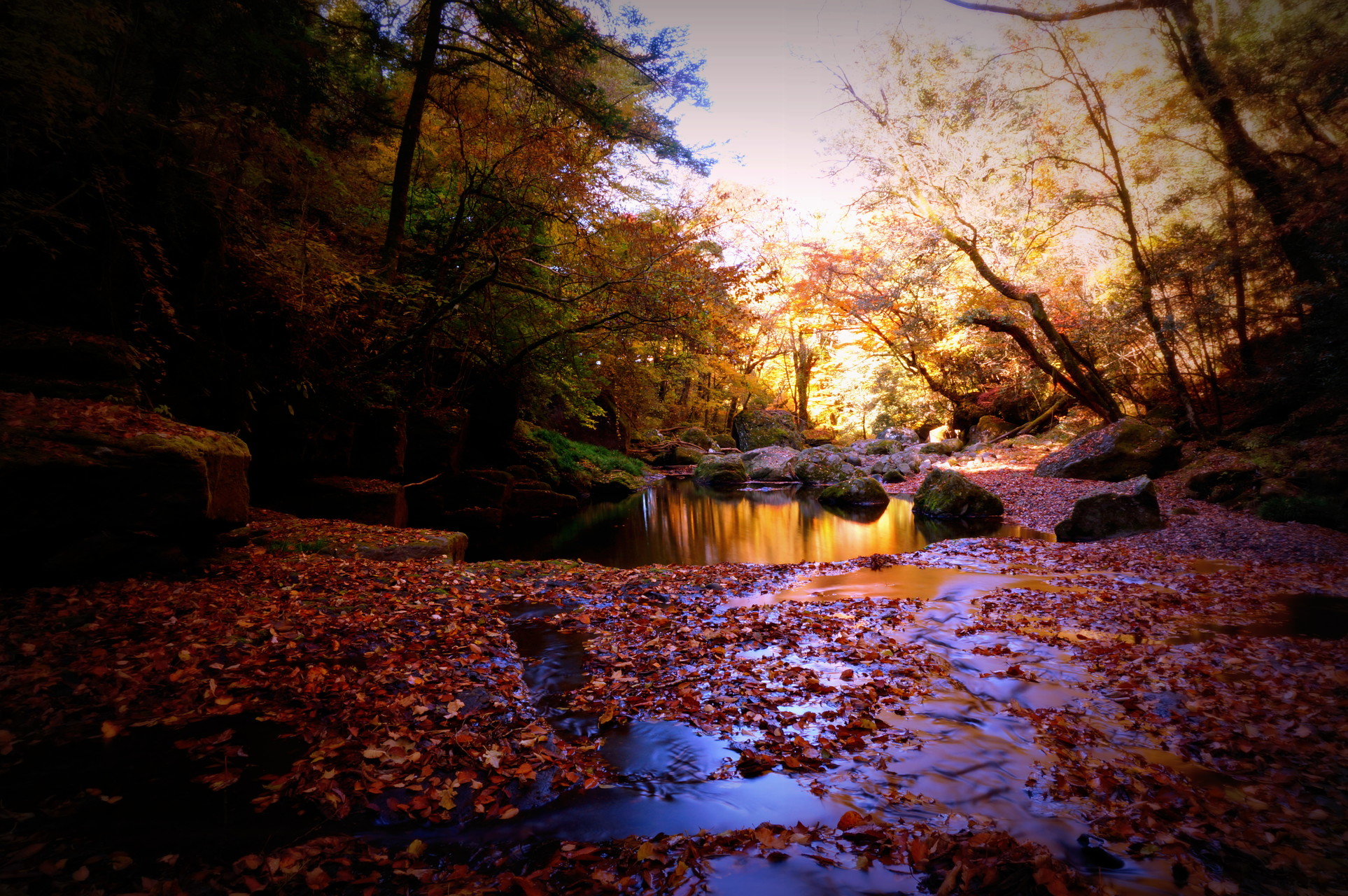 菊池渓谷 紅葉お散歩 やまさんさんのツームシ山 鞍岳の活動データ Yamap ヤマップ