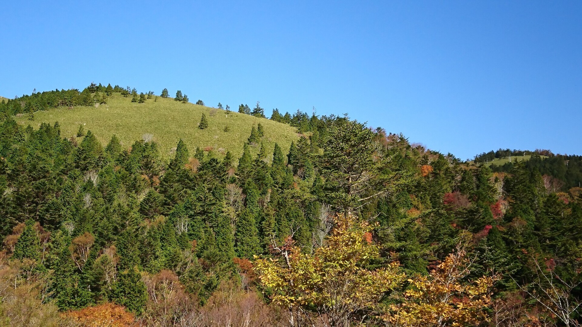 10 21 快晴の富士見台高原 紅葉ピークにはちょい早かった Pixy10さんの恵那山 大判山 神坂山の活動日記 Yamap ヤマップ