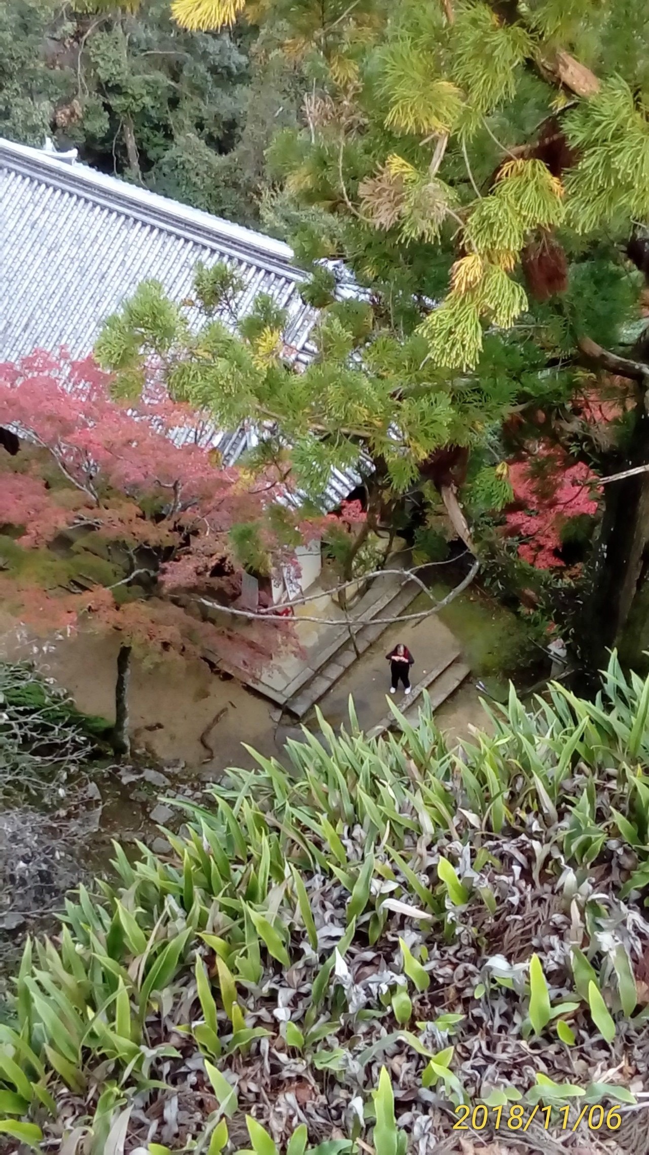 笠置寺紅葉ハイク 11月6日18年 Ootakahiko さんの笠置山 京都府 の活動日記 Yamap ヤマップ