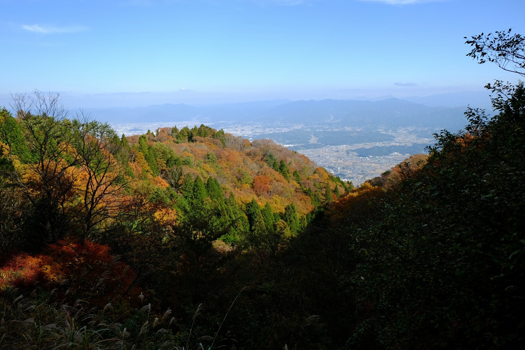 葛城山へ紅葉とススキを求めて じゅぴさんの金剛山 二上山 大和葛城山の活動データ Yamap ヤマップ