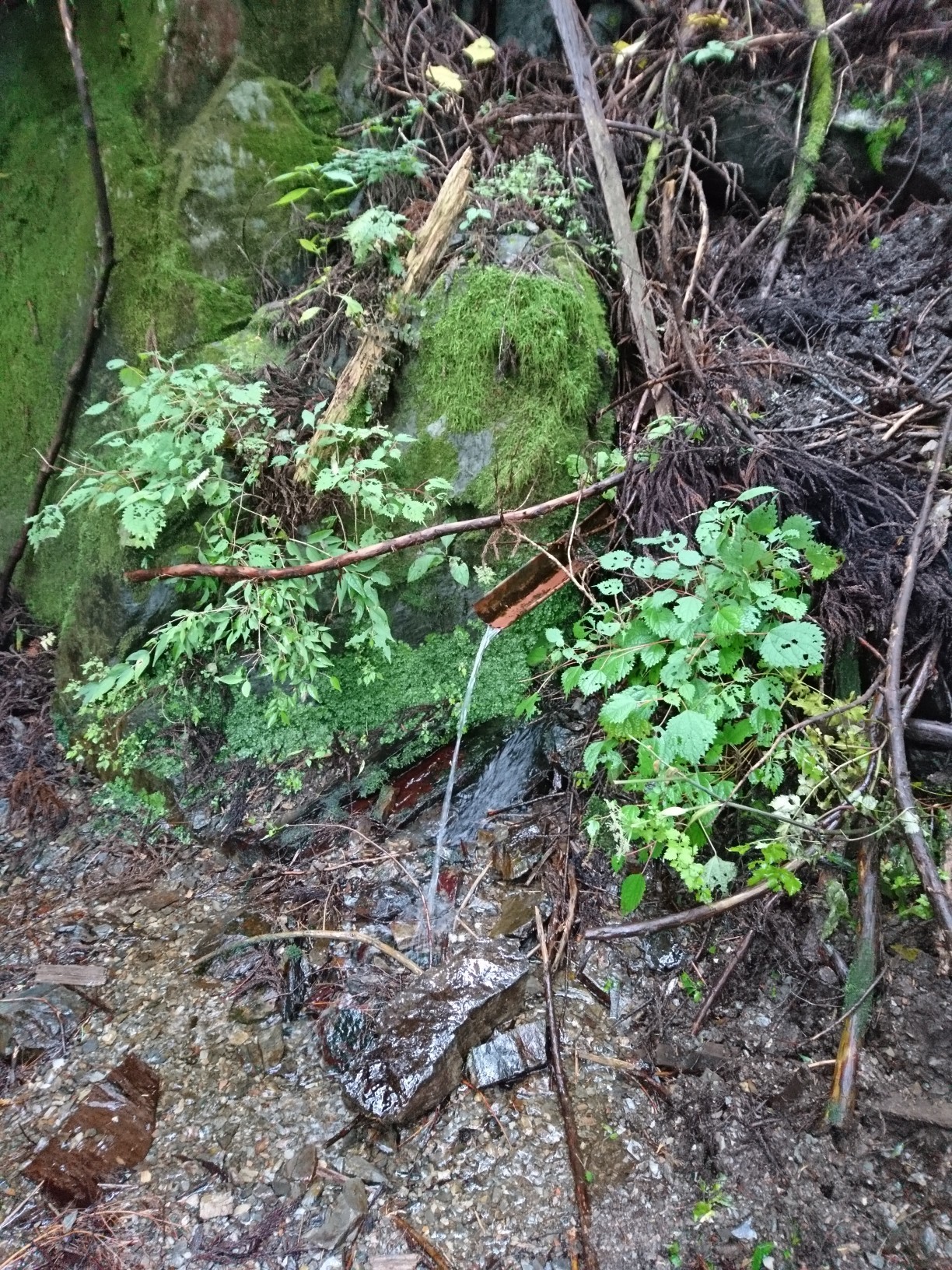 ハセツネコース 西原峠まで Dori3さんのハセツネcup 日本山岳耐久レース 71 5kmコース の活動データ Yamap ヤマップ